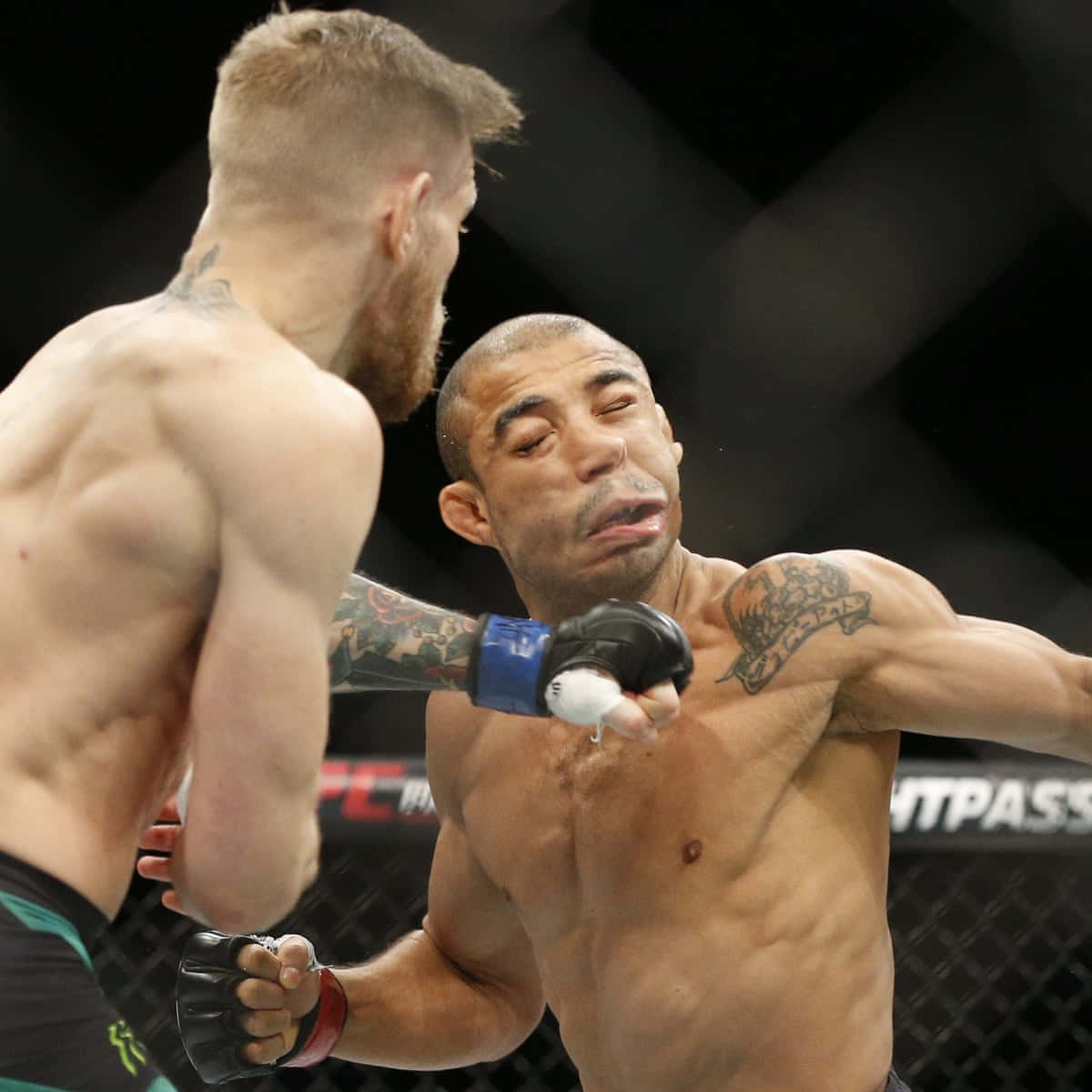 UFC 桌布 壁紙 — 兩名MMA拳手在激烈的鐵籠賽中交鋒，其中一人向對手面部打出強力一拳。