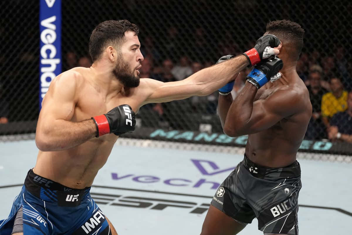 UFC 桌布 壁紙 — 兩名MMA拳手在激烈的鐵籠賽中交鋒，其中一人向對手面部打出強力一拳。