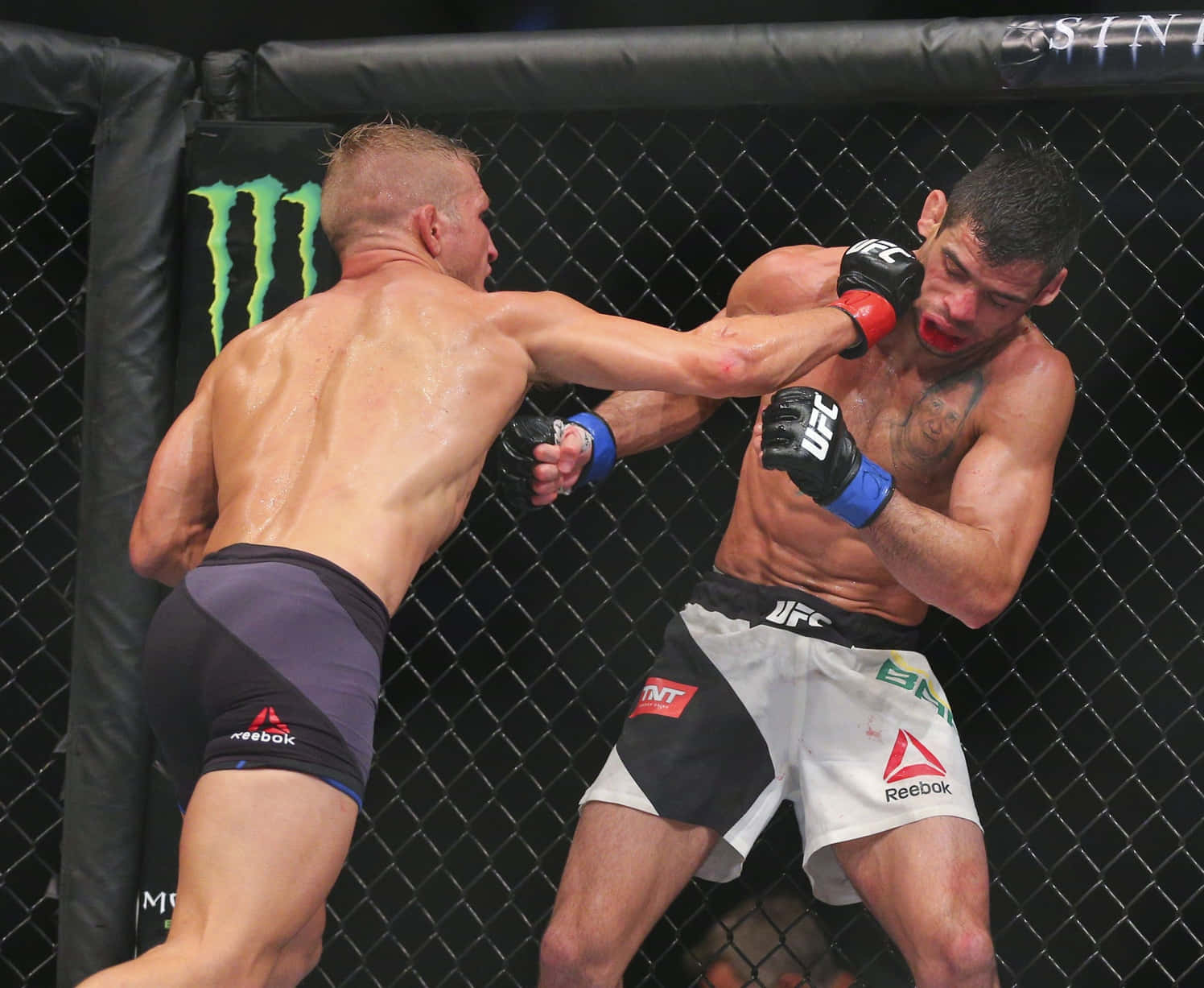 MMA 桌布 壁紙 — 兩名MMA拳手在激烈的鐵籠賽中交鋒，其中一人向對手面部打出強力一拳。