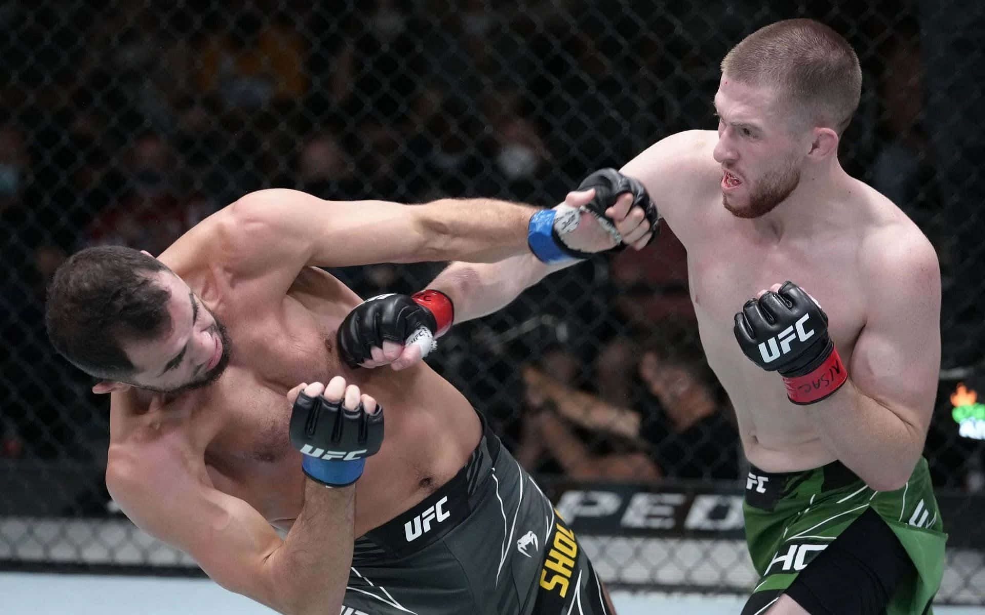 UFC 桌布 壁紙 — 兩名MMA拳手在激烈的鐵籠賽中交鋒，其中一人向對手面部打出強力一拳。