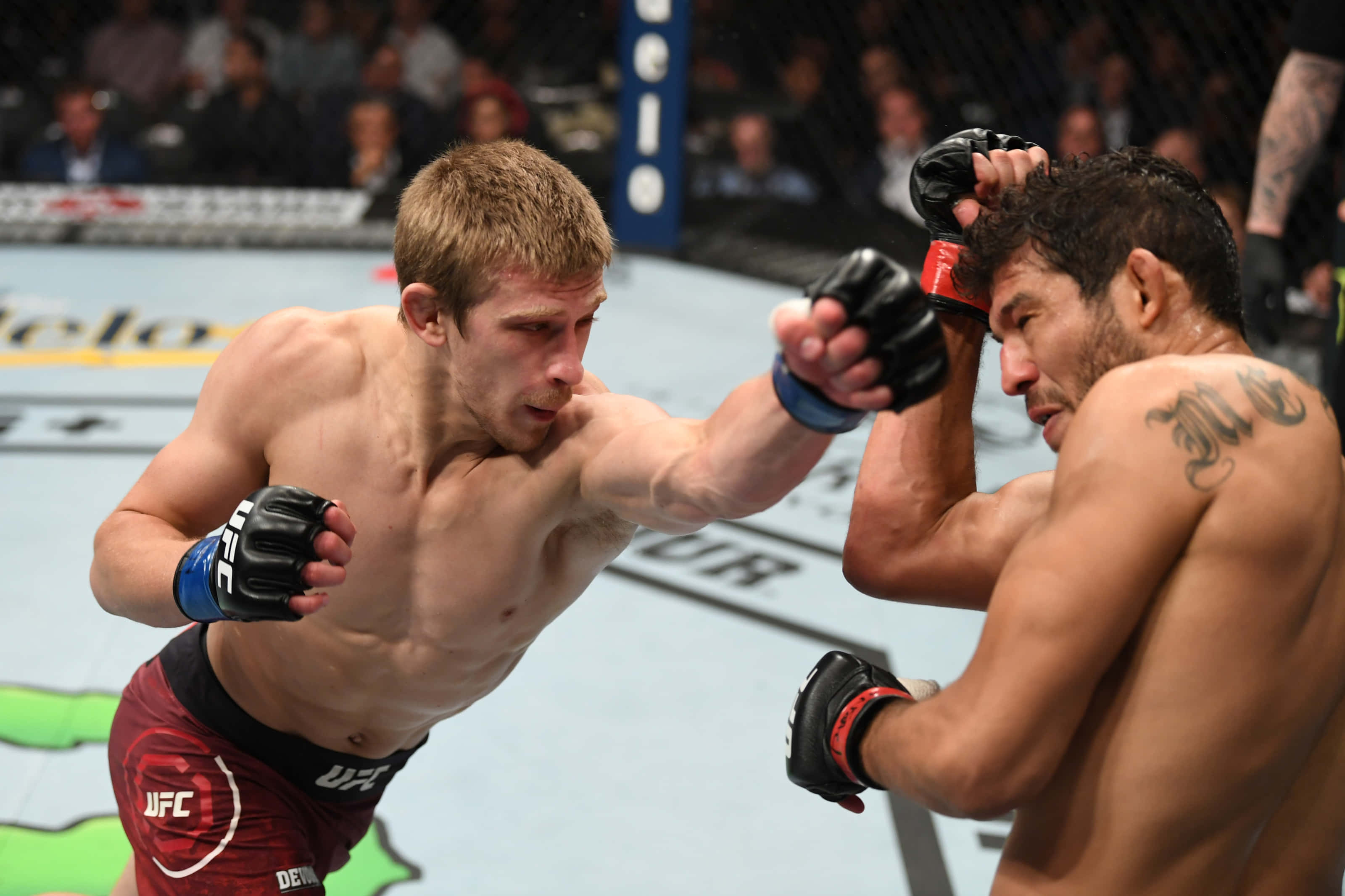 UFC 桌布 壁紙 — 兩名MMA拳手在激烈的鐵籠賽中交鋒，其中一人向對手頭部打出強力一拳。
