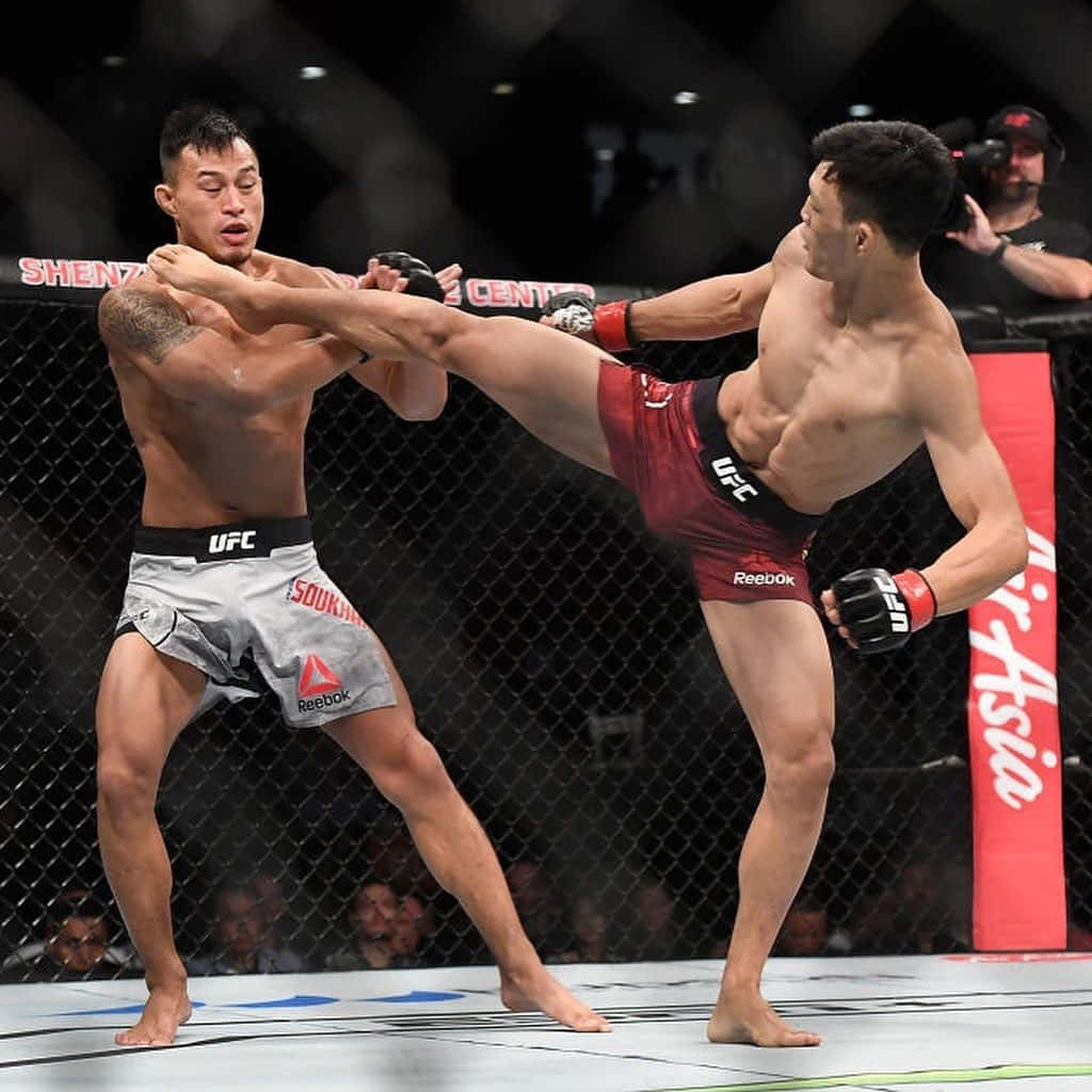 MMA 桌布 壁紙 — 兩名MMA拳手在籠中交鋒，一人使出高踢，另一人擋格，上演緊張的UFC比賽。