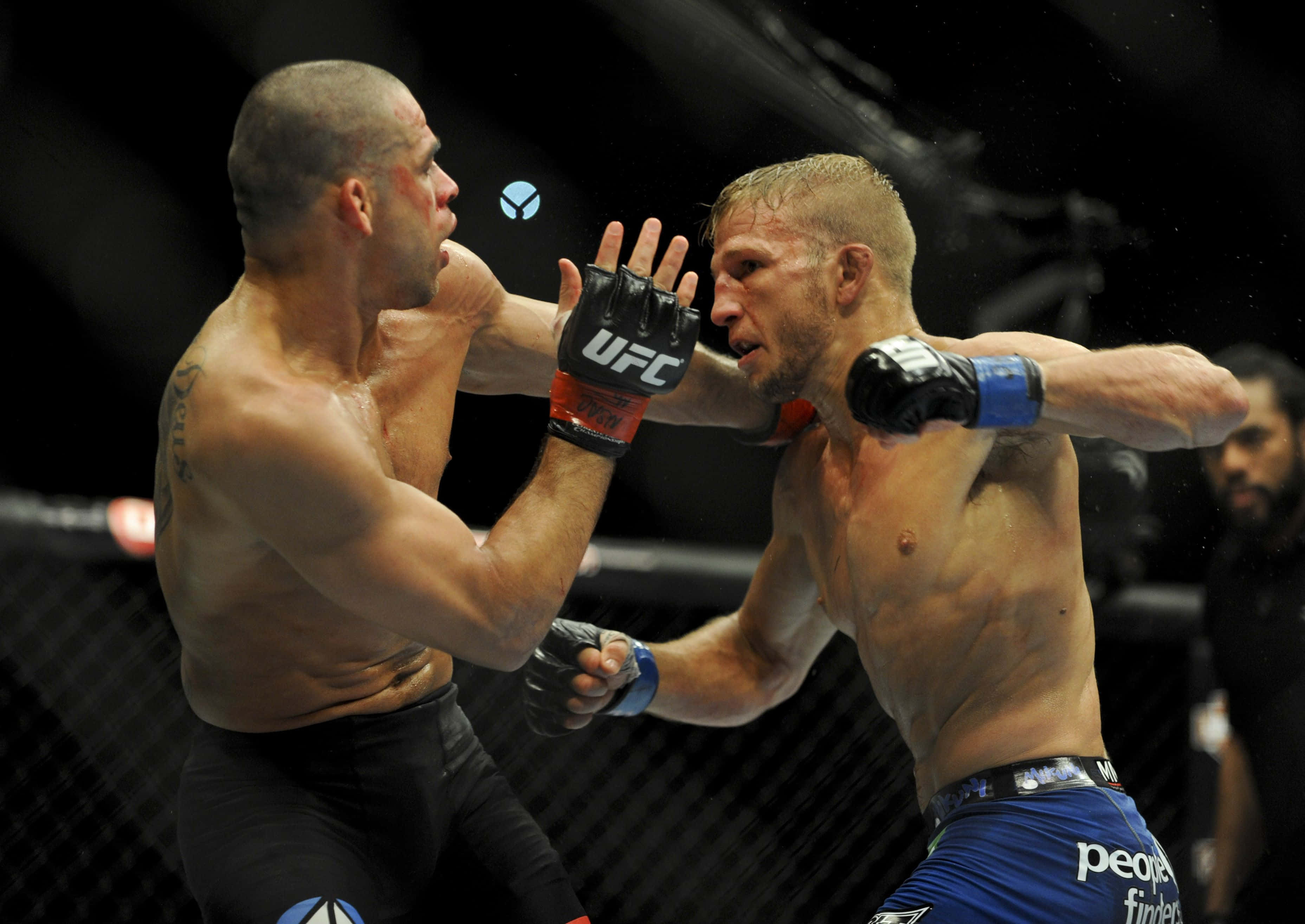 UFC 桌布 壁紙 — 兩名MMA拳手在籠中激烈交鋒，汗水飛濺，其中一人重拳擊中對手的臉部。