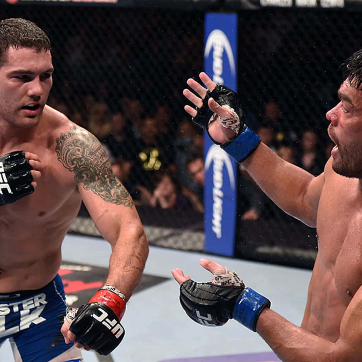MMA 桌布 壁紙 — 兩名MMA拳手在籠中激烈交鋒，汗水飛濺，一人出拳，另一人阻擋。