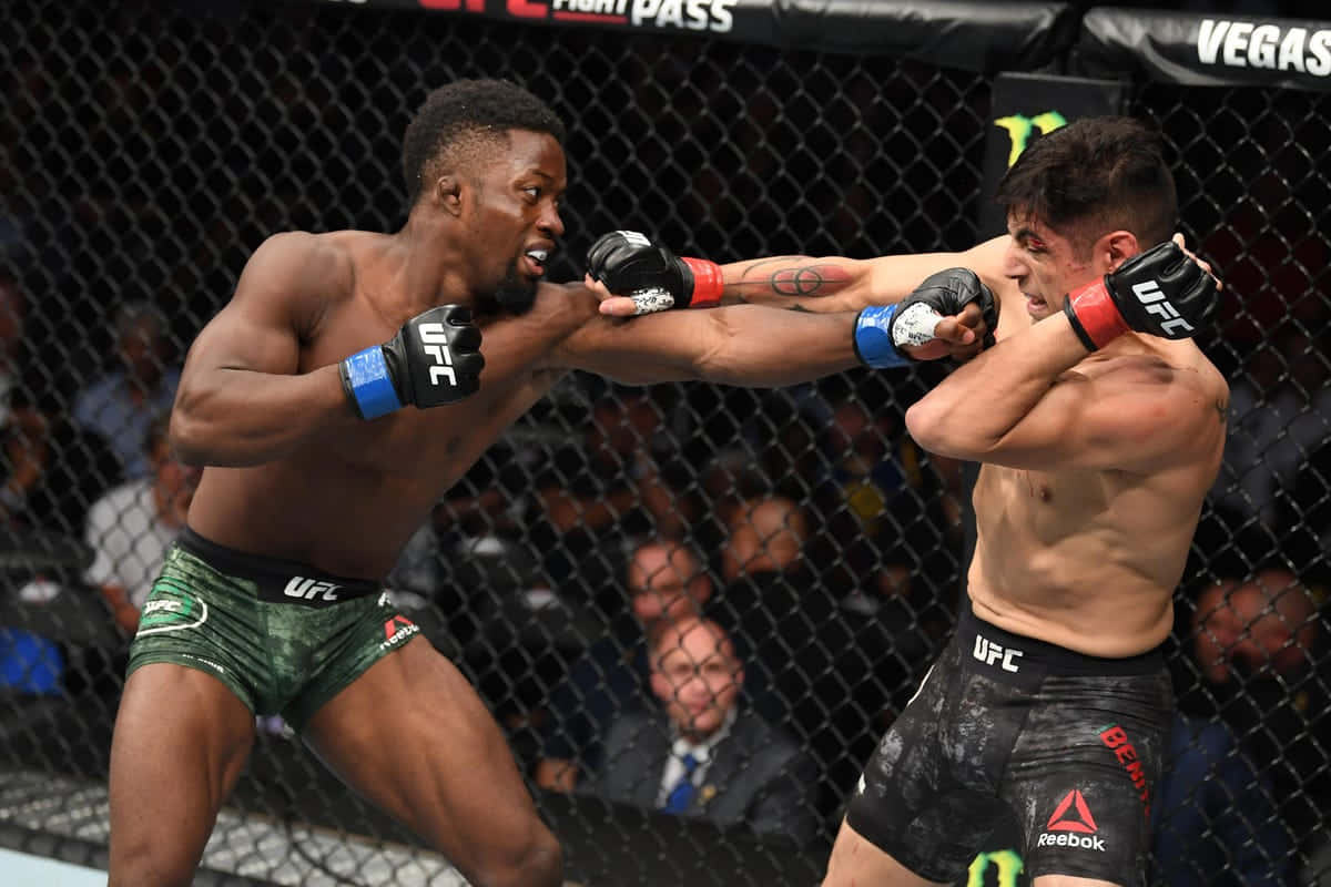 UFC 桌布 壁紙 — 兩名UFC拳手在八角籠內互相施展強力打擊，鐵絲網後面是模糊的人群。