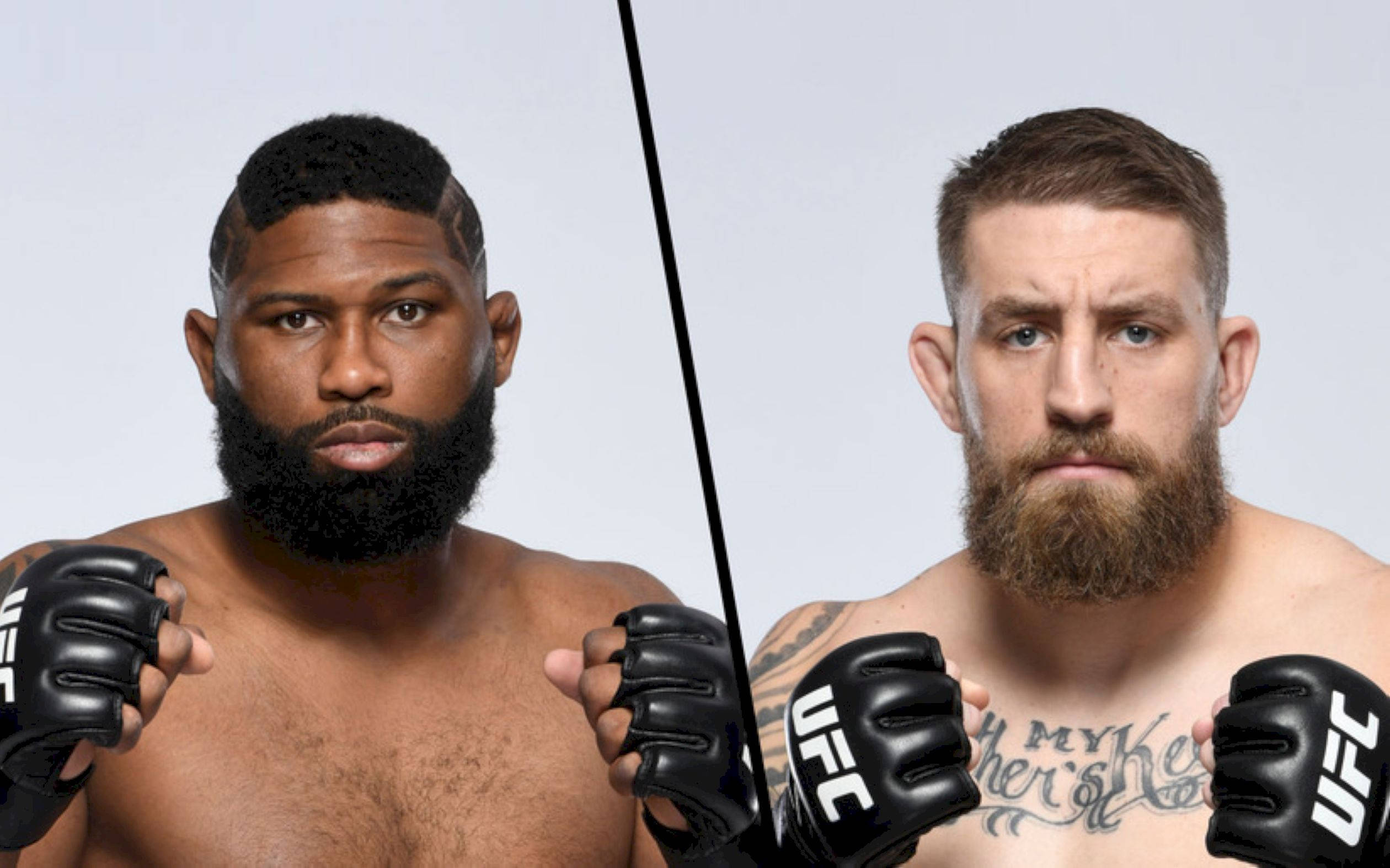 MMA 桌布 壁紙 — 兩名UFC拳手在純灰色背景上被黑色對角線分隔，凝視著鏡頭。