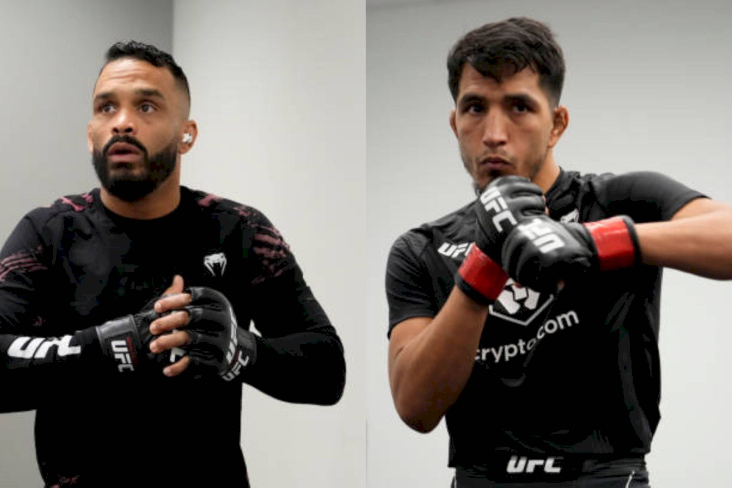 UFC 桌布 壁紙 — 兩名UFC拳手身穿黑色裝備和紅色手套，在純白色背景前擺出強烈的姿勢。