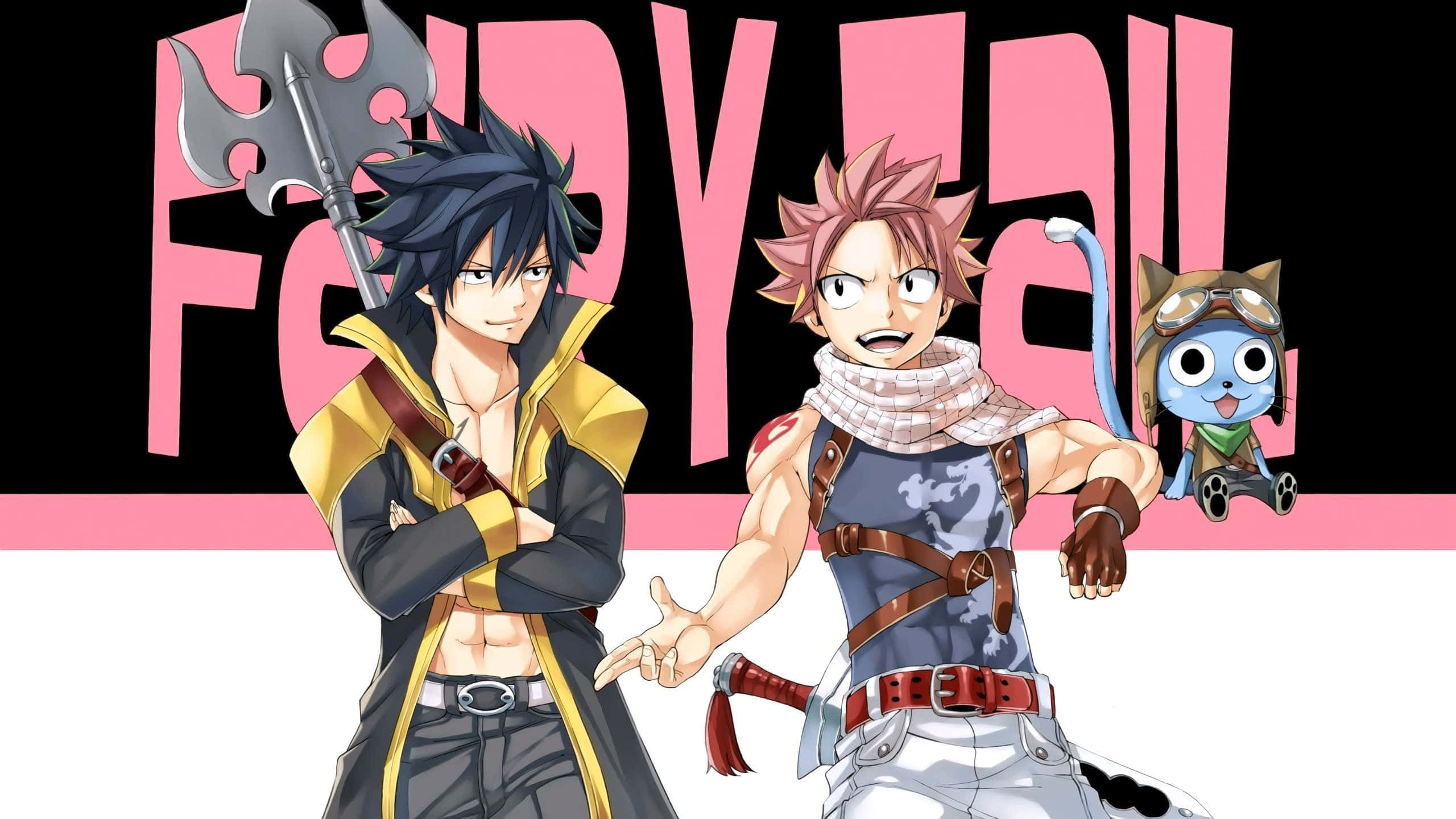 妖精的尾巴 桌布 壁紙 — 兩名動漫戰士和一隻貓狀生物在醒目的粉紅色和黑色「FAIRY TAIL」標誌前動態擺姿勢。