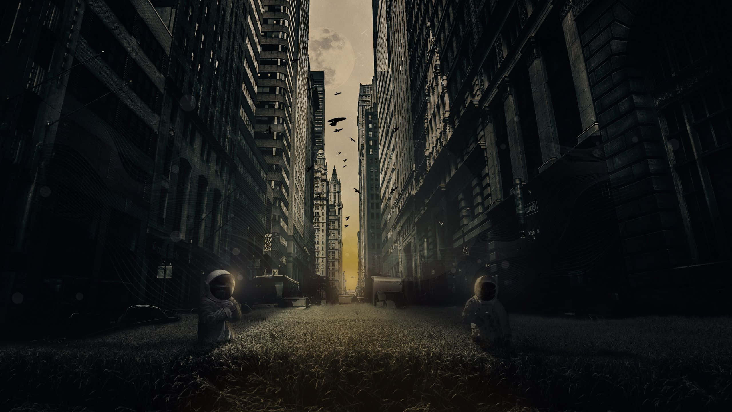 Dark Alleyway 桌布 壁紙 — 兩名太空人坐在長滿草的城市峽谷中，鳥兒在摩天大樓之間飛向閃耀的金色日出。