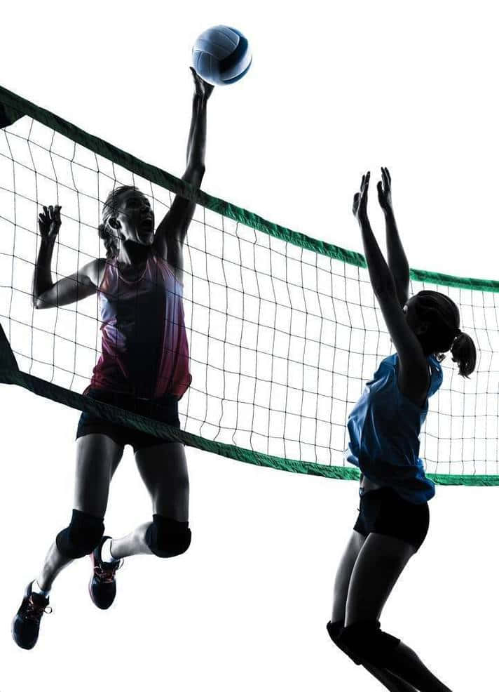 運動 桌布 壁紙 — 兩名女子排球運動員以剪影形式在白色背景上跳起扣球和攔網。