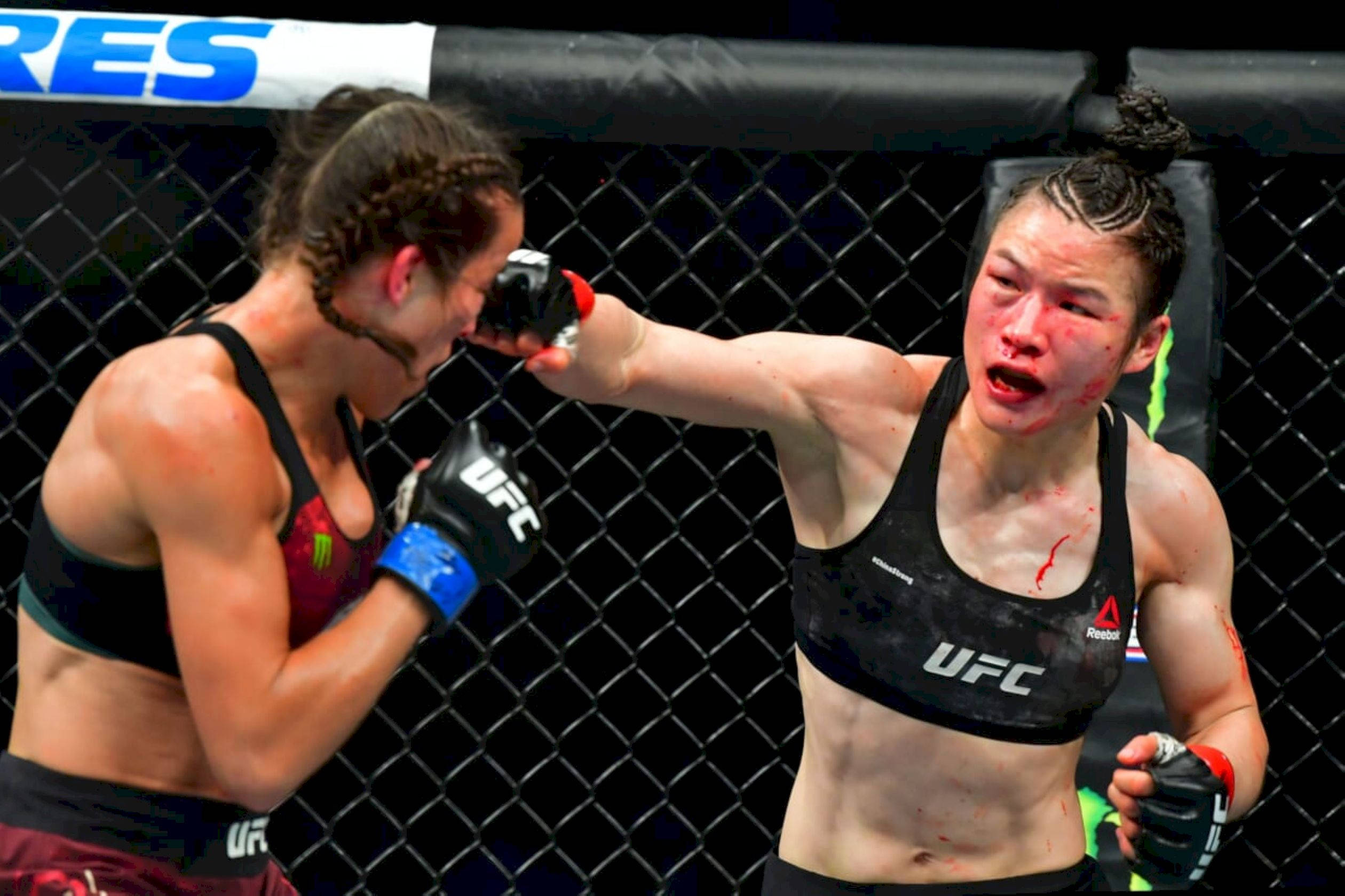 Punch 桌布 壁紙 — 兩名女性MMA拳手在激烈的鐵籠賽中交鋒，臉上帶血，手套飛舞。