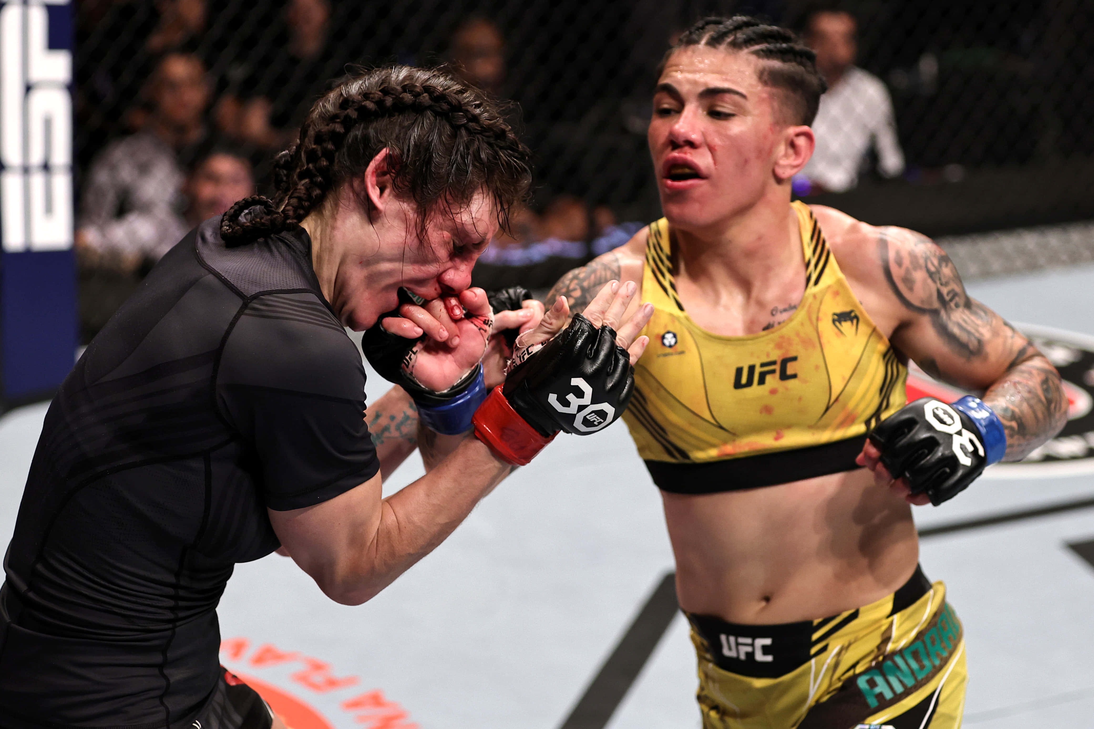 MMA 桌布 壁紙 — 兩名女性MMA拳手在籠中激烈交鋒，汗水飛濺，拳頭高舉，上演一場激烈的UFC比賽。
