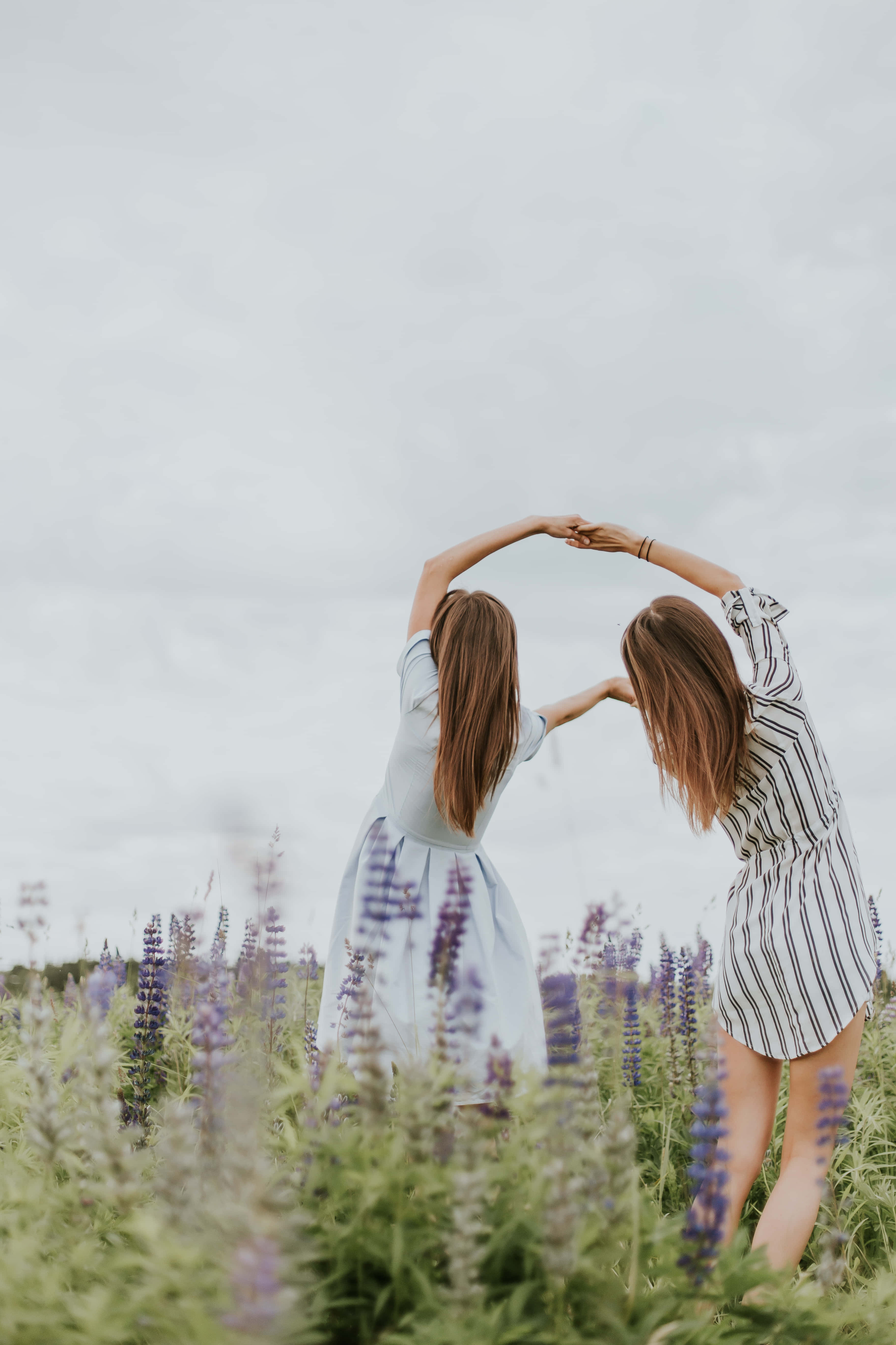sisters 桌布 壁紙 — 兩名女性在紫色羽扇豆花田中彎曲手臂形成一個圓圈，從背後牽手。