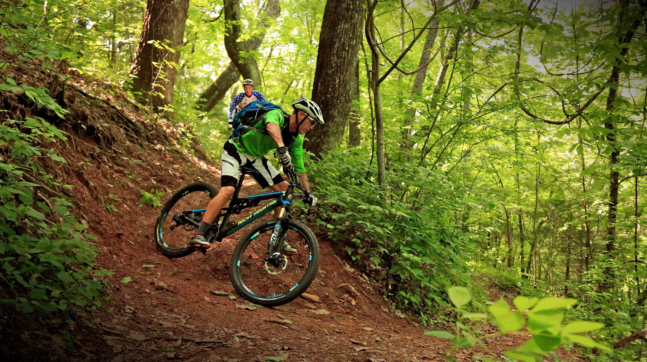 Mountain Bike 桌布 壁紙 — 兩名山地車手在陽光斑駁的森林小徑上穿梭，穿過茂密的綠色樹葉和長滿苔蘚的地面。