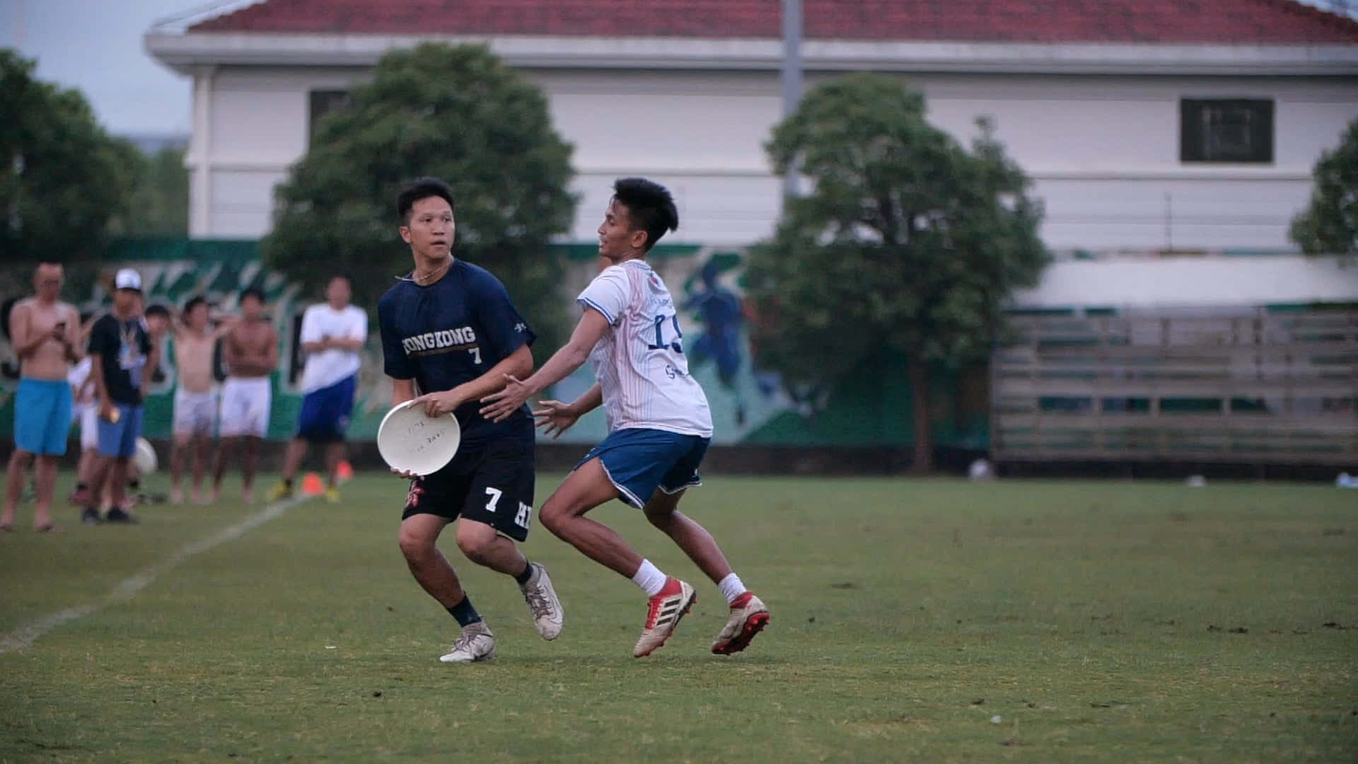 1920x1080 Frisbee 桌布 壁紙 — 兩名年輕男子在草地上激烈爭奪飛盤，背景有觀眾觀看。