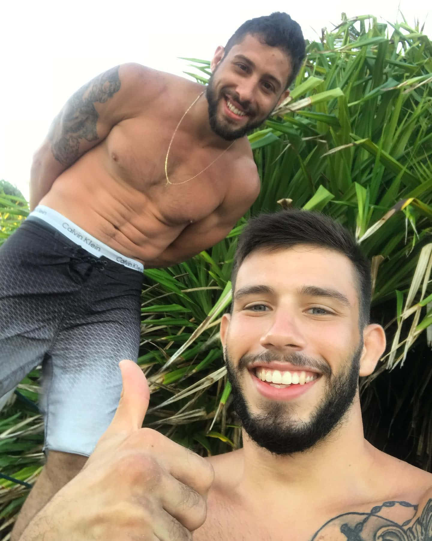 Thumbs Up 桌布 壁紙 — 兩名微笑的赤膊刺青男子在戶外茂密的綠葉前愉快地擺姿勢。