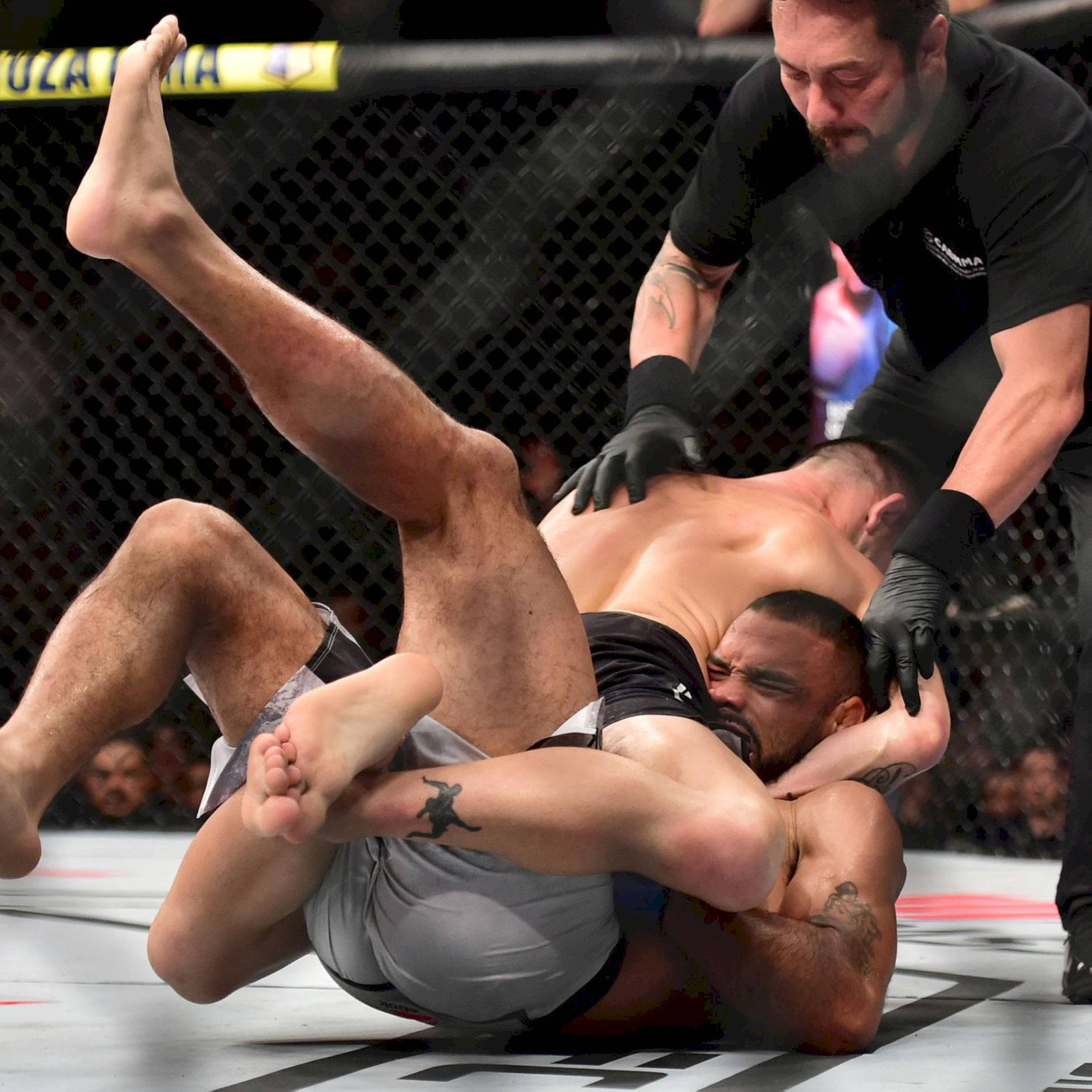Champion 桌布 壁紙 — 兩名拳手在MMA八角籠墊上激烈纏鬥，裁判介入阻止比賽。