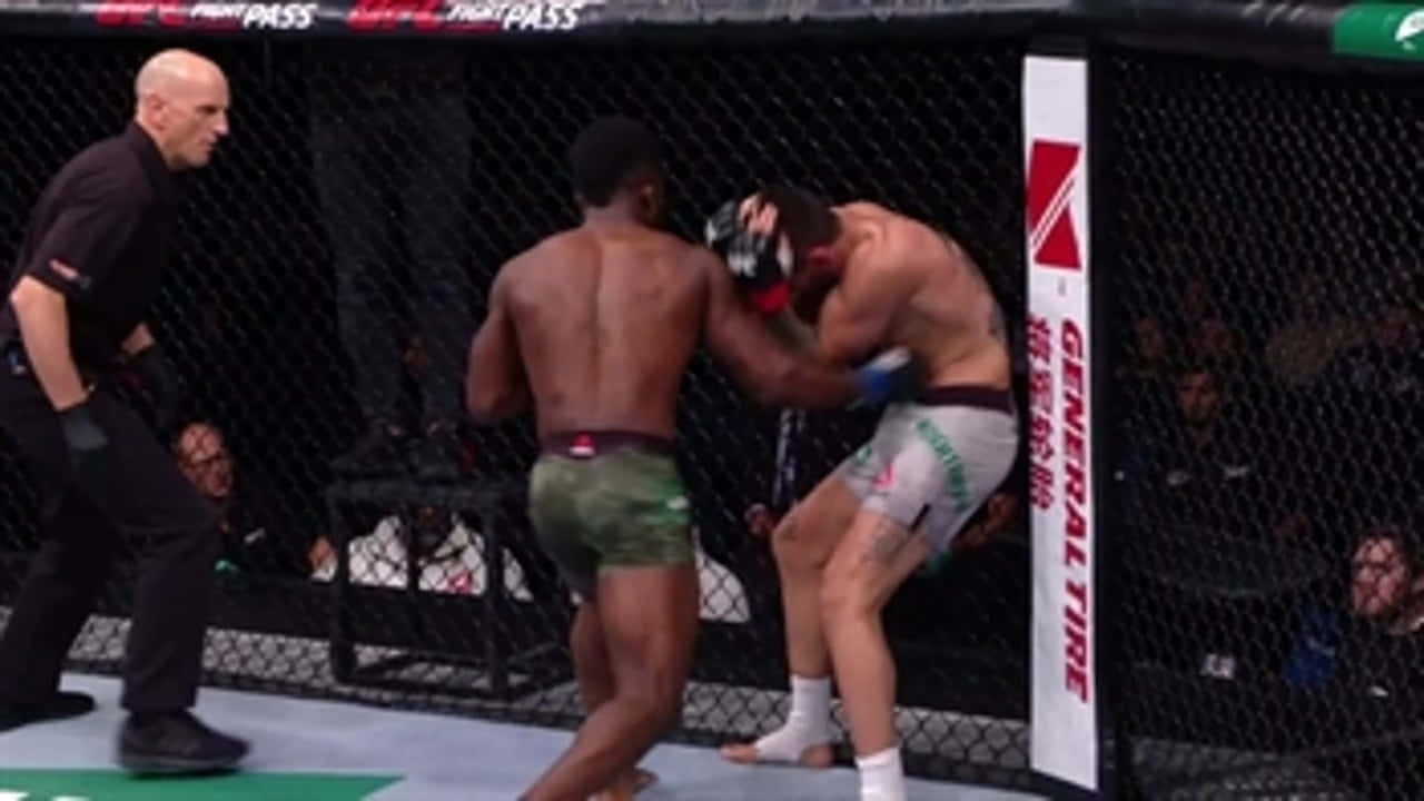 UFC 桌布 壁紙 — 兩名拳手在UFC八角籠內激烈纏鬥，裁判在旁密切注視。