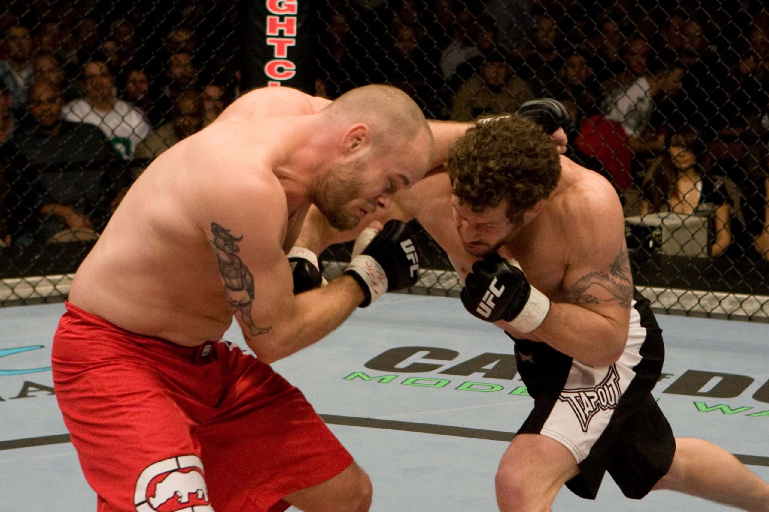 Fight 桌布 壁紙 — 兩名拳手在UFC八角籠內激烈纏鬥，圍欄後有觀眾觀看。