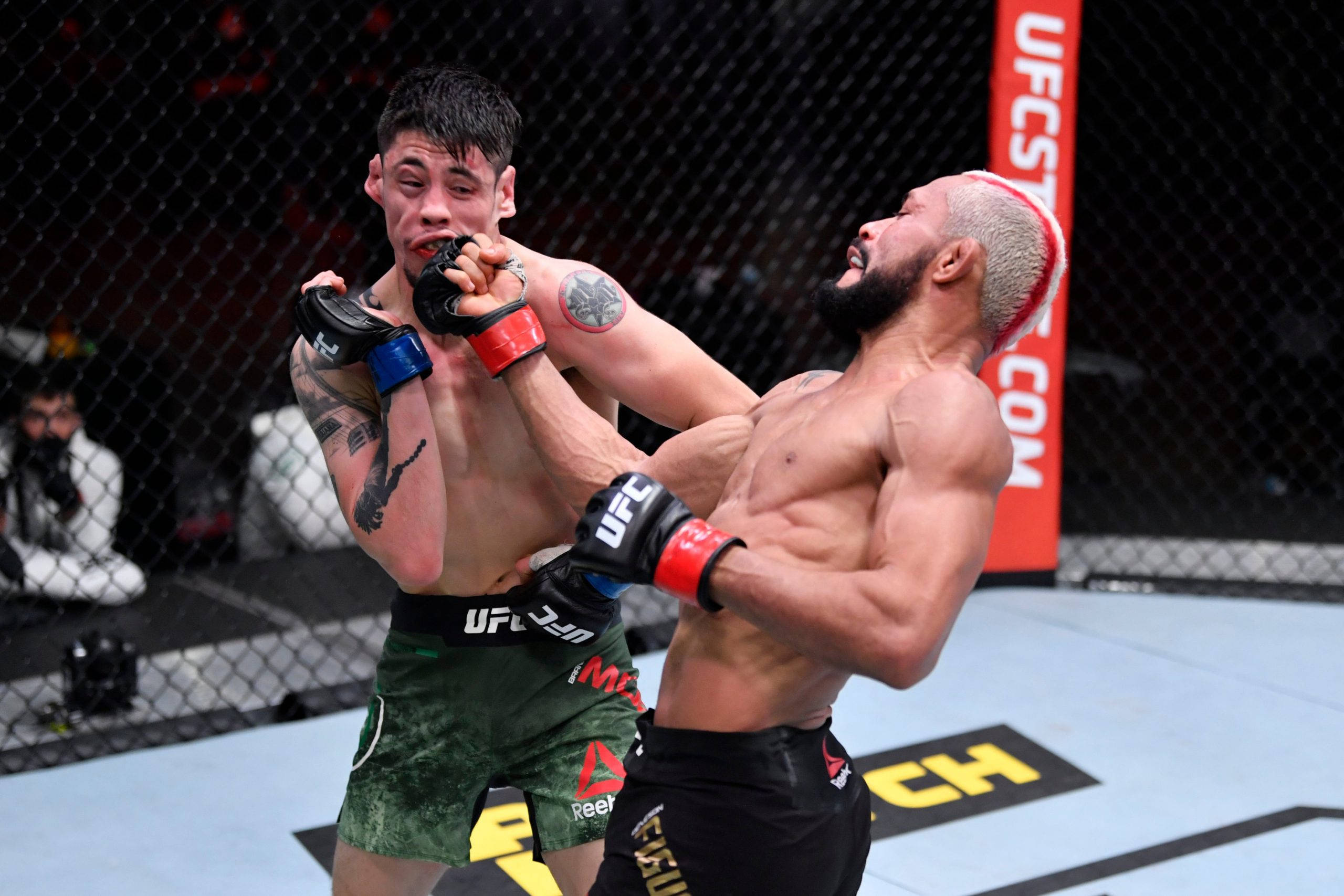MMA 桌布 壁紙 — 兩名拳手在UFC八角籠內激烈纏鬥，籠網和品牌標誌清晰可見。