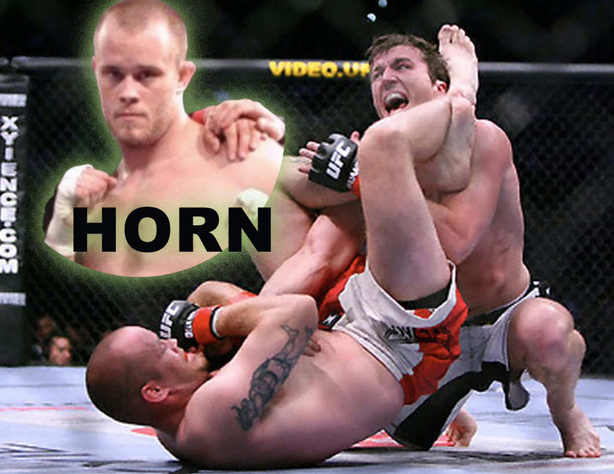 Fight 桌布 壁紙 — 兩名拳手在UFC八角籠內激烈纏鬥，其中一人施展腿鎖，另一人則奮力抵抗。