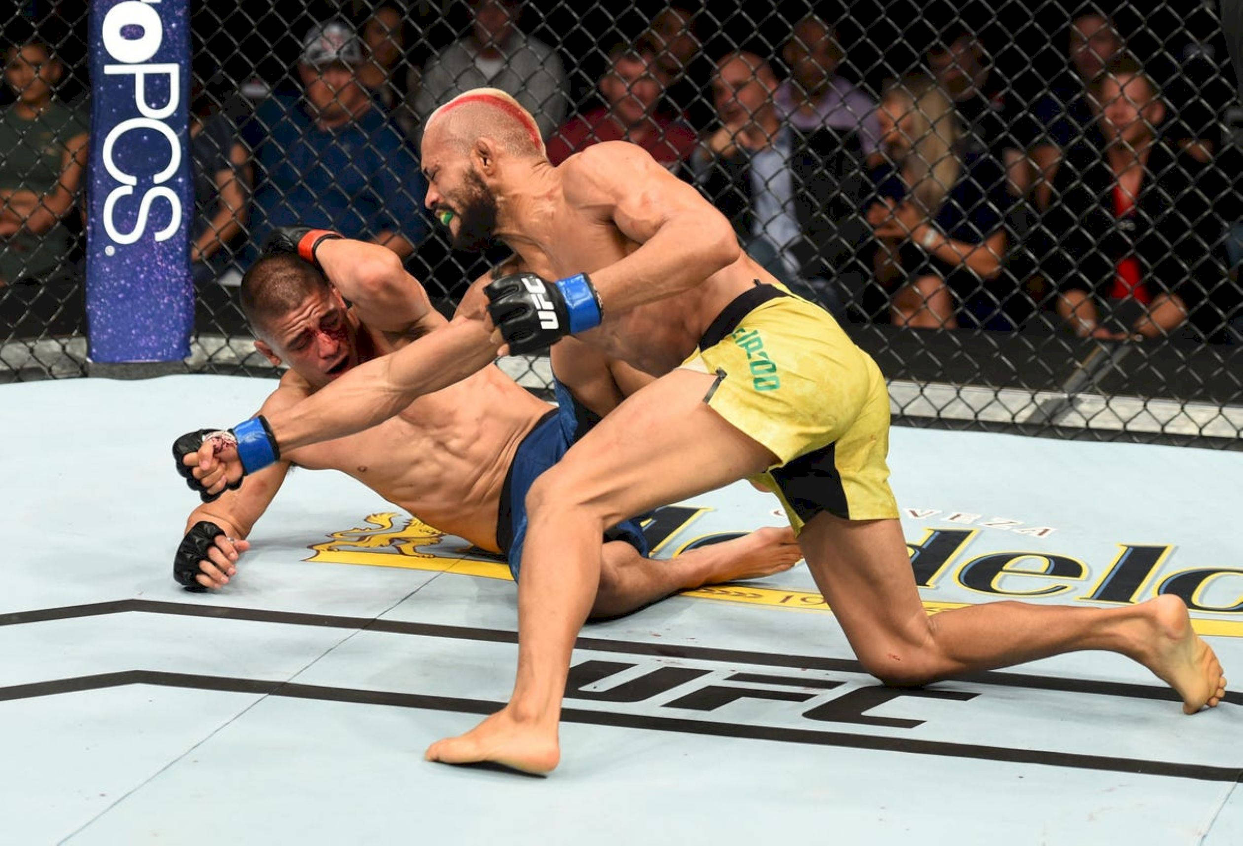 MMA 桌布 壁紙 — 兩名拳手在UFC八角籠墊上激烈纏鬥，觀眾在圍欄後觀看。