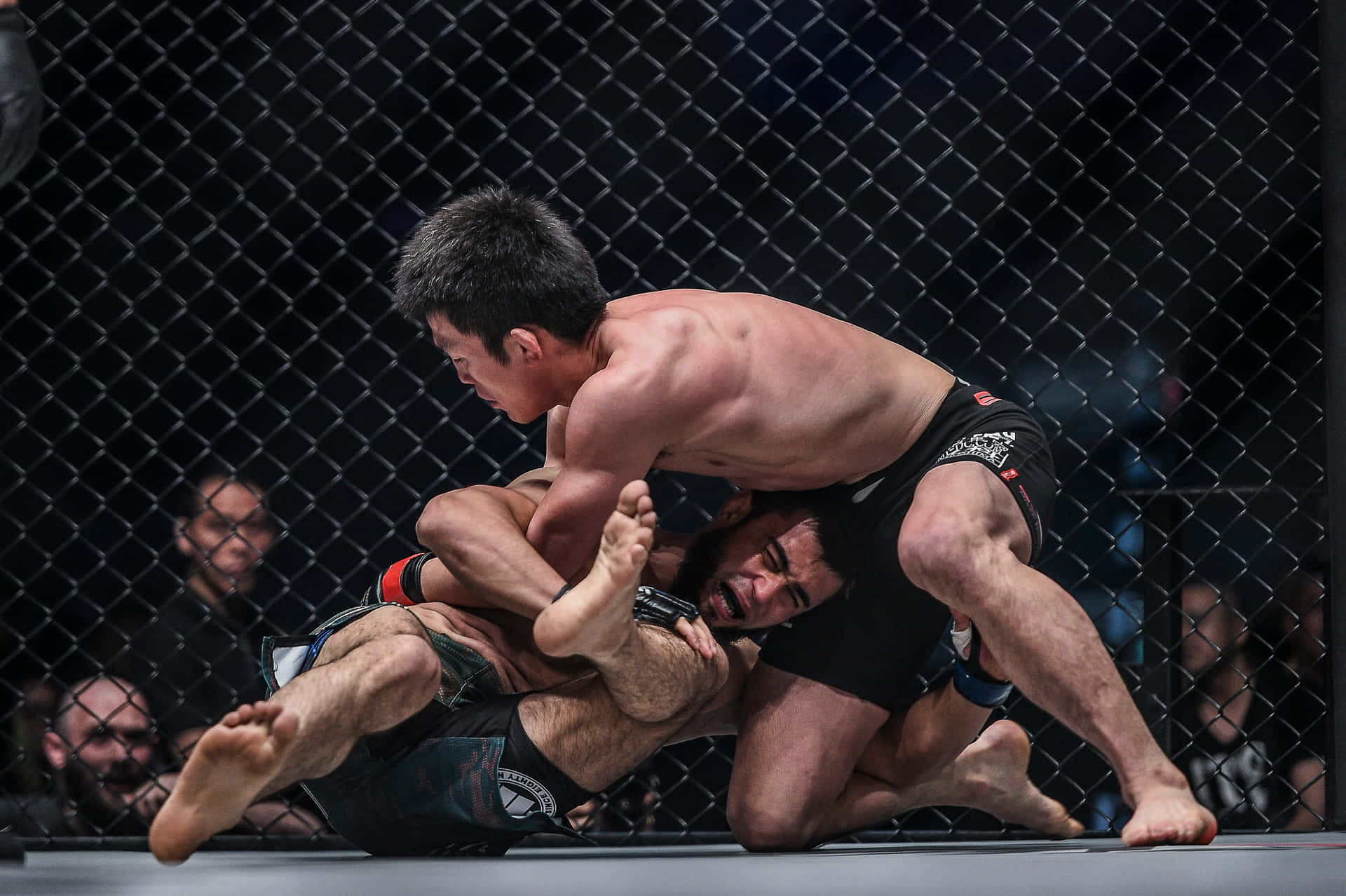 martial arts 桌布 壁紙 — 兩名拳手在八角籠內的軟墊上激烈纏鬥，場館燈光明亮。