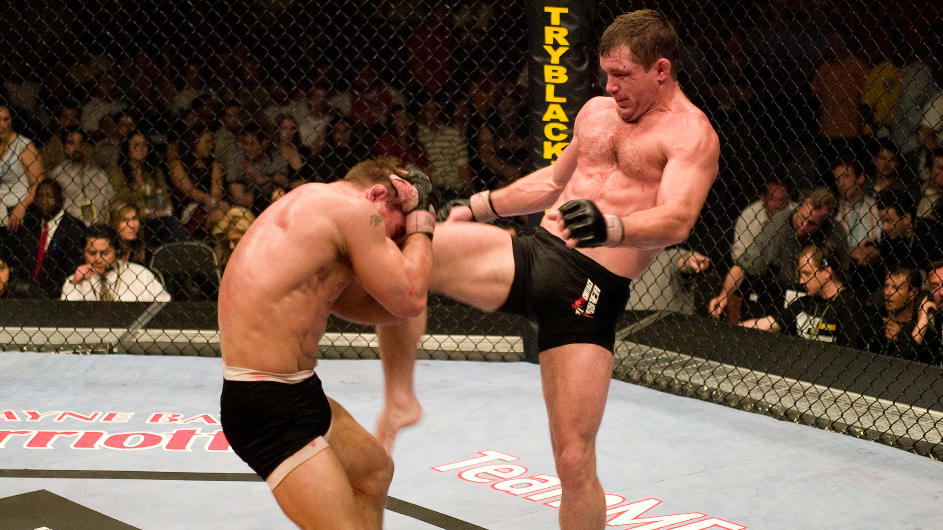 Champion 桌布 壁紙 — 兩名拳手在八角籠內進行激烈的MMA比賽，觀眾專注觀看。