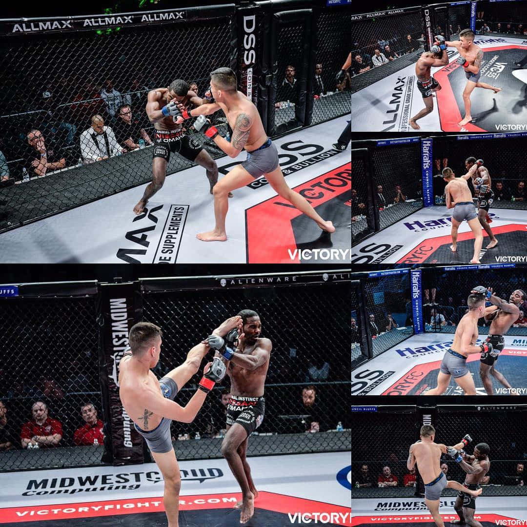 MMA 桌布 壁紙 — 兩名拳手在品牌MMA八角籠內交換強力打擊，觀眾專注觀看。
