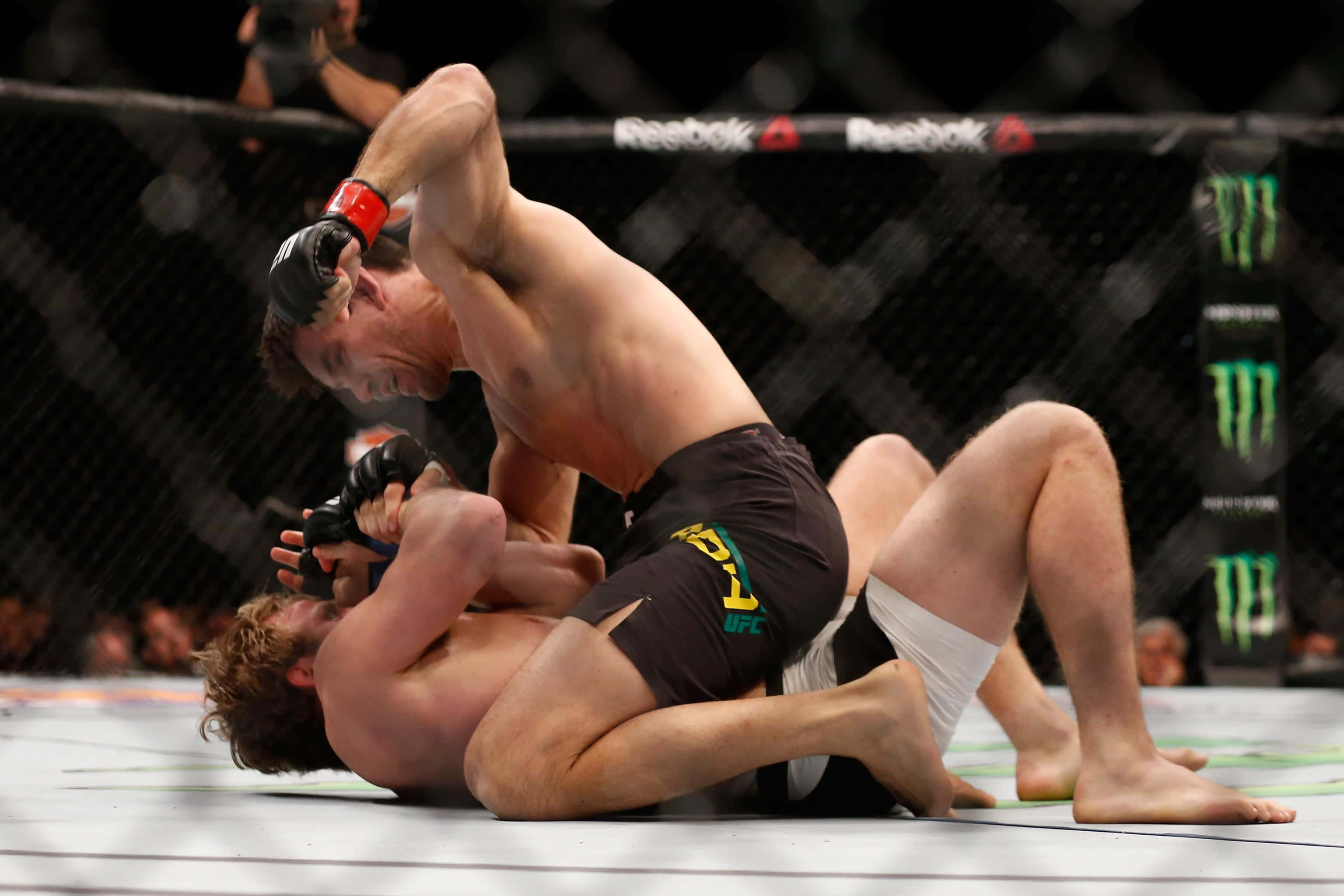 Champion 桌布 壁紙 — 兩名拳手在明亮的場館燈光下，於UFC八角籠內激烈纏鬥。