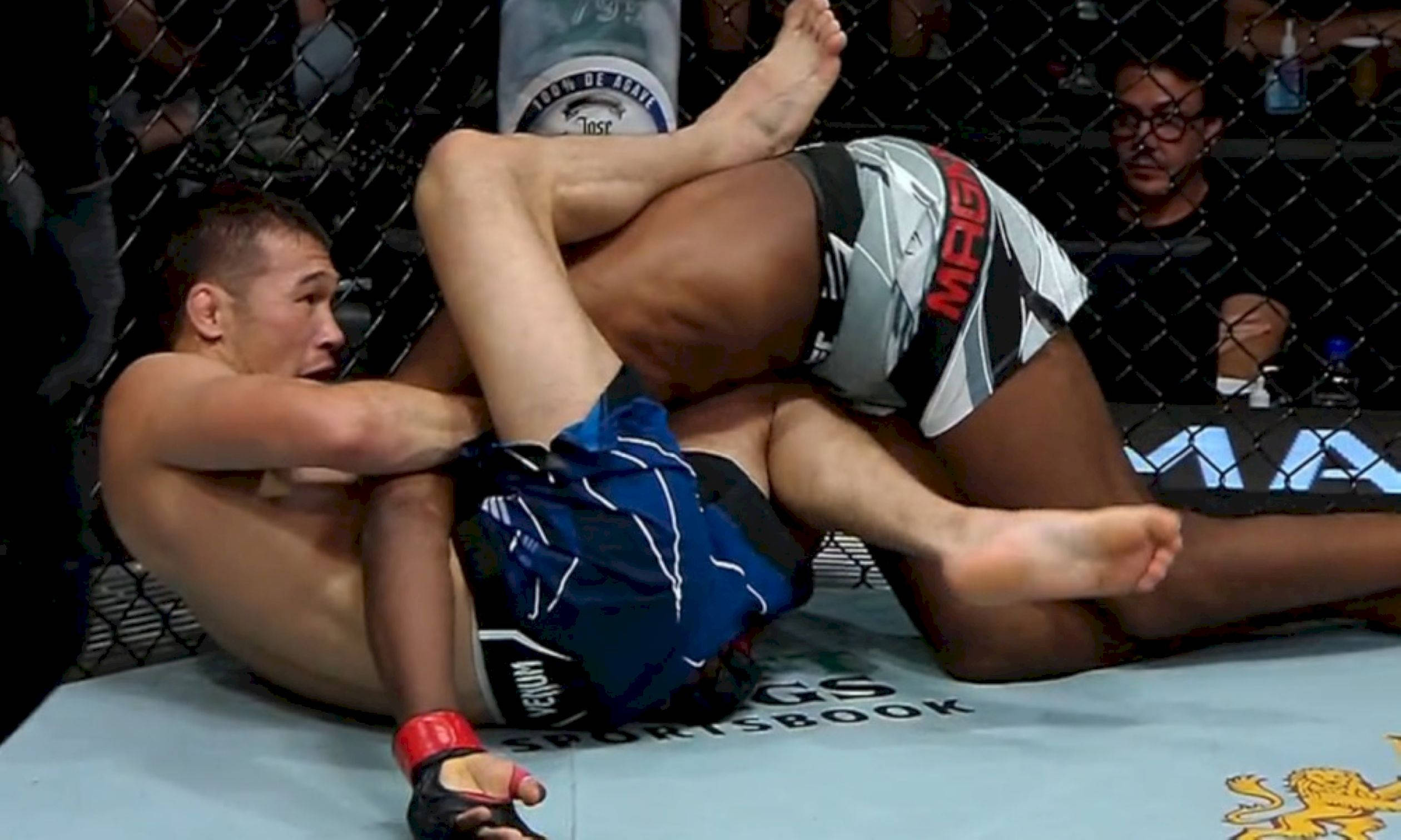 UFC 桌布 壁紙 — 兩名拳手在明亮的場館燈光下，於八角籠內的藍色MMA地墊上激烈纏鬥。