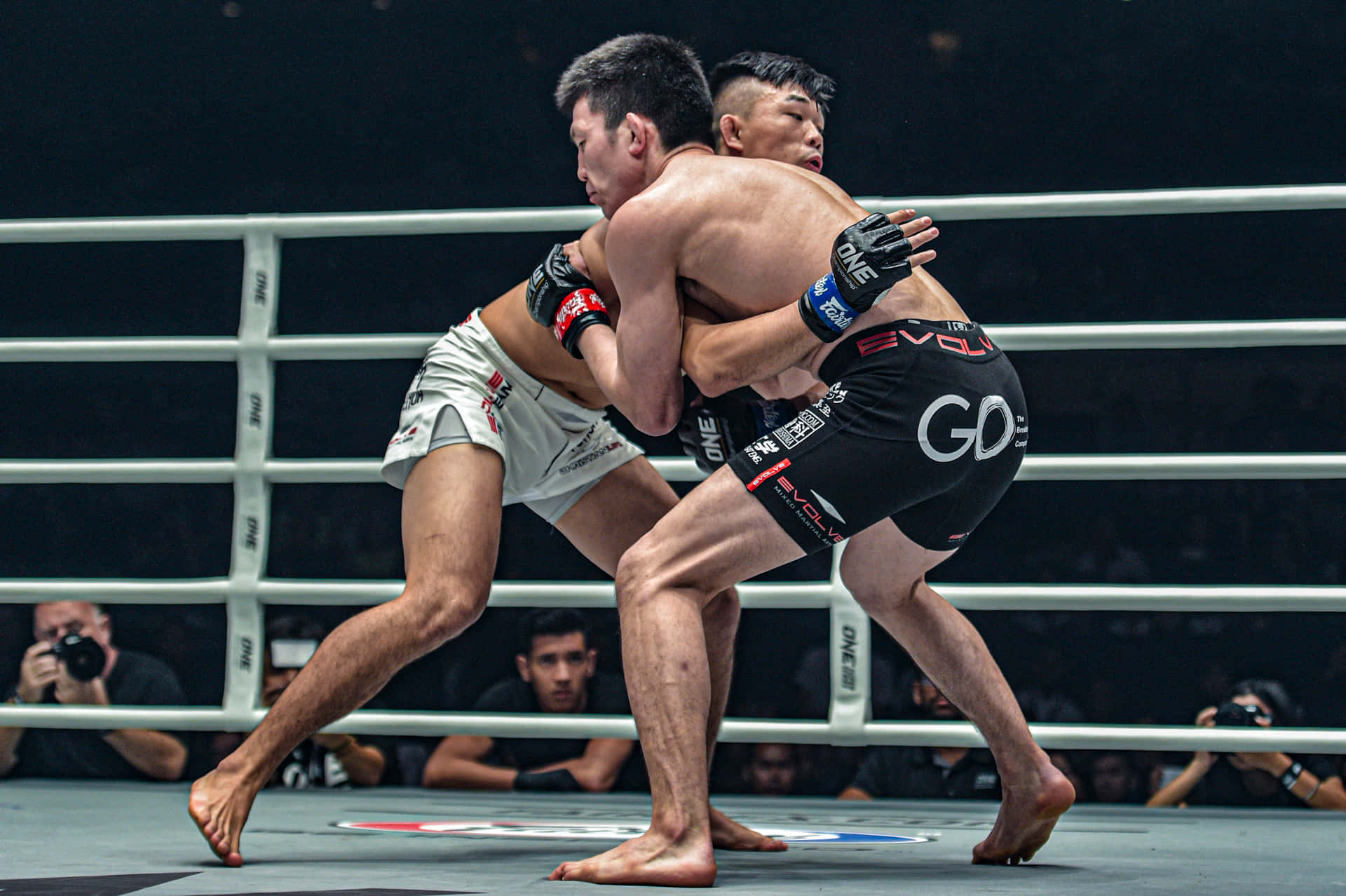 martial arts 桌布 壁紙 — 兩名拳手在燈光通明的MMA擂台上激烈纏鬥，攝影師捕捉著動作。