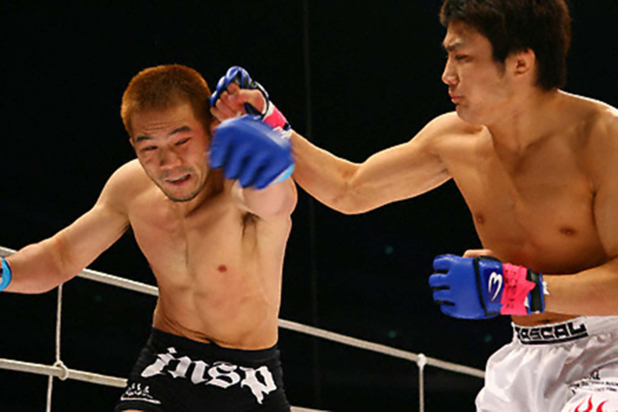 MMA 桌布 壁紙 — 兩名拳手在籠中，一人一拳打在對方臉上，對方在明亮的場館燈光下痛苦地扭曲表情。