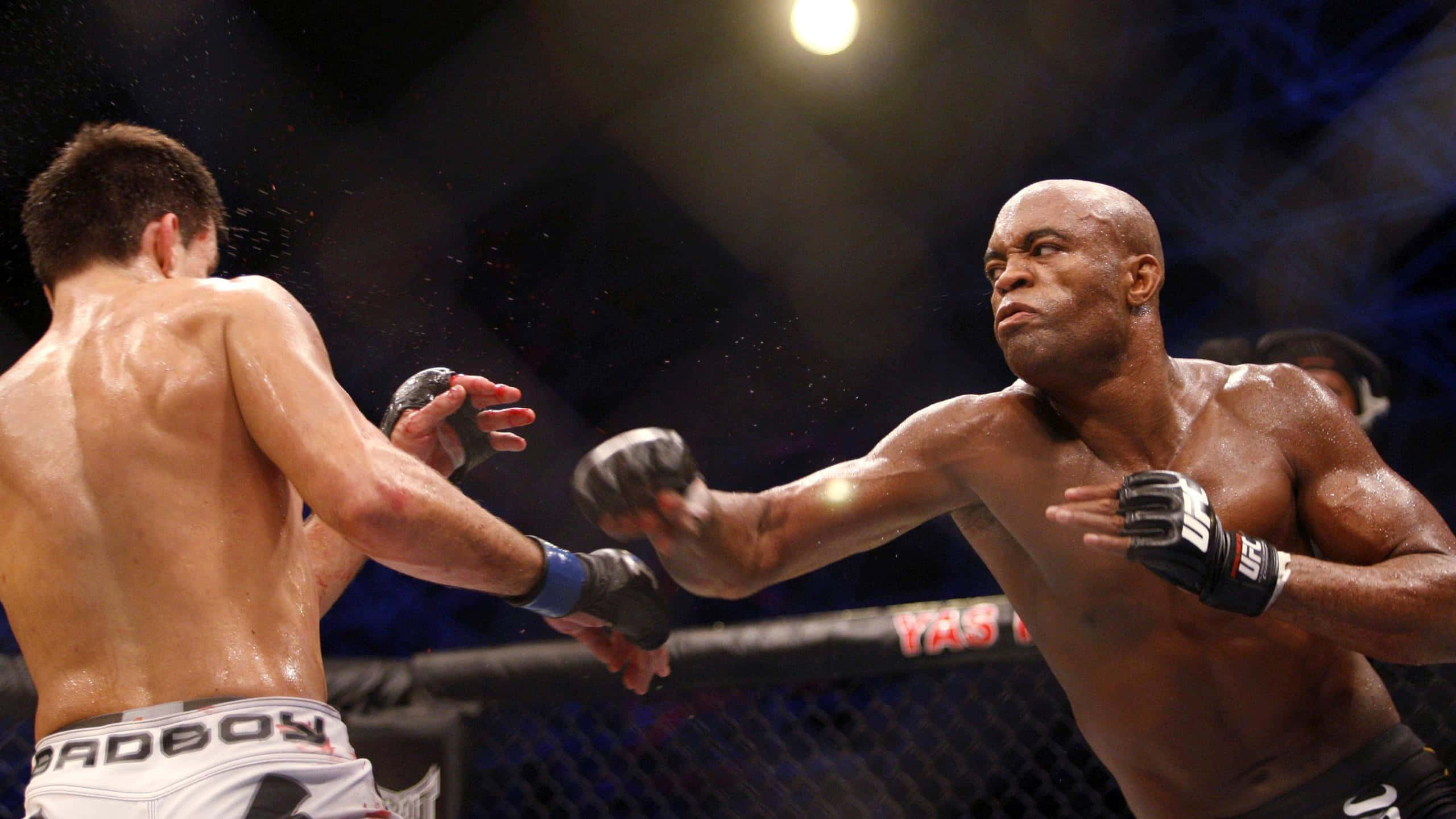 MMA 桌布 壁紙 — 兩名拳手在籠中激戰，汗水在明亮的場館燈光下飛濺，進行一場激烈的MMA比賽。