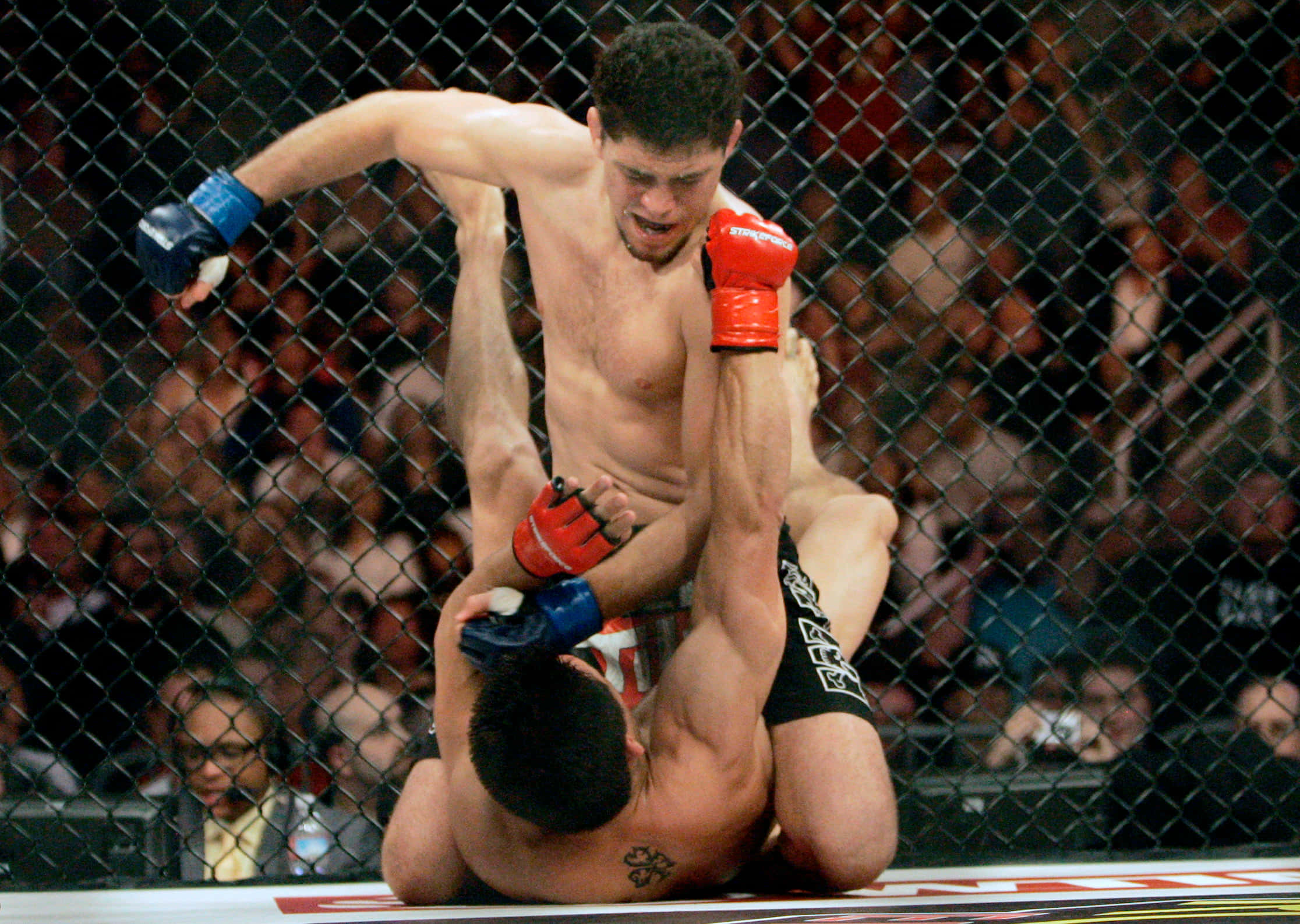 UFC 桌布 壁紙 — 兩名拳手在籠中激烈纏鬥，人群在圍欄後專注觀看。