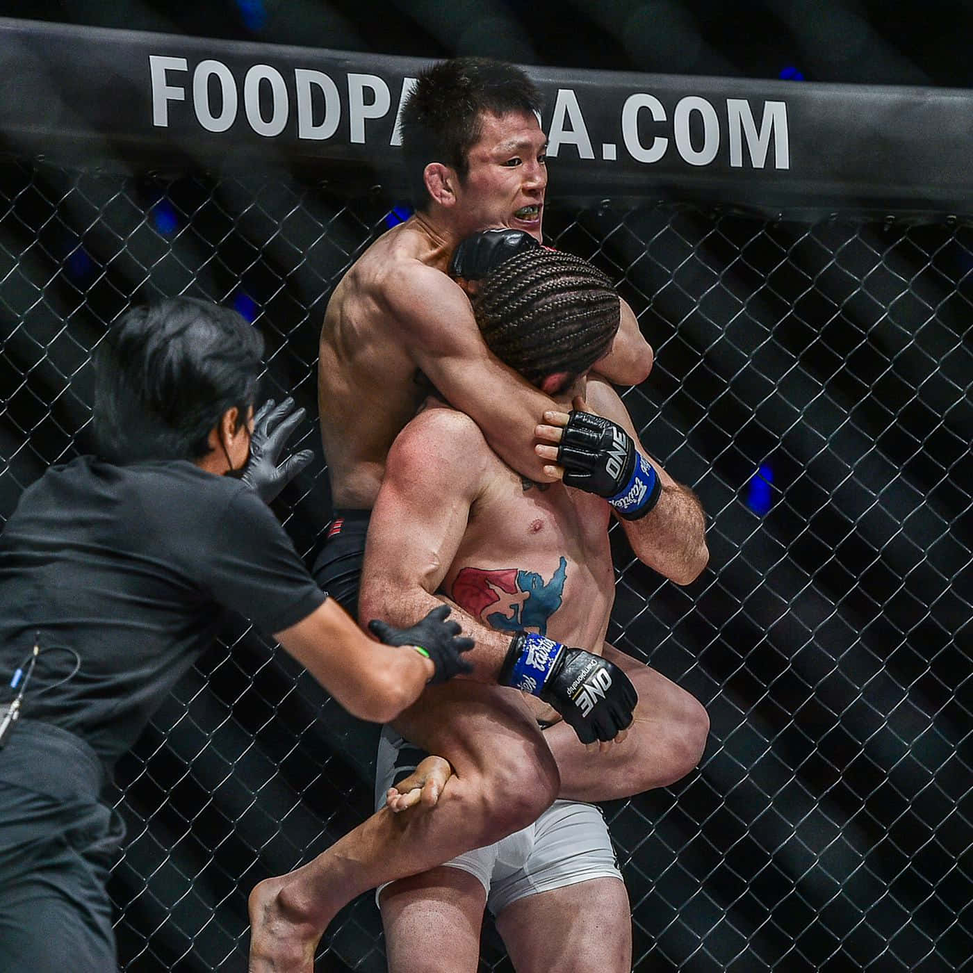 martial arts 桌布 壁紙 — 兩名拳手在籠中激烈纏鬥，裁判在ONE Championship比賽期間介入。
