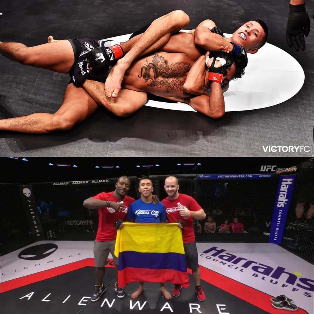 MMA 桌布 壁紙 — 兩名拳手在籠內激烈纏鬥，下方三名男子在八角籠內揮舞哥倫比亞國旗慶祝。