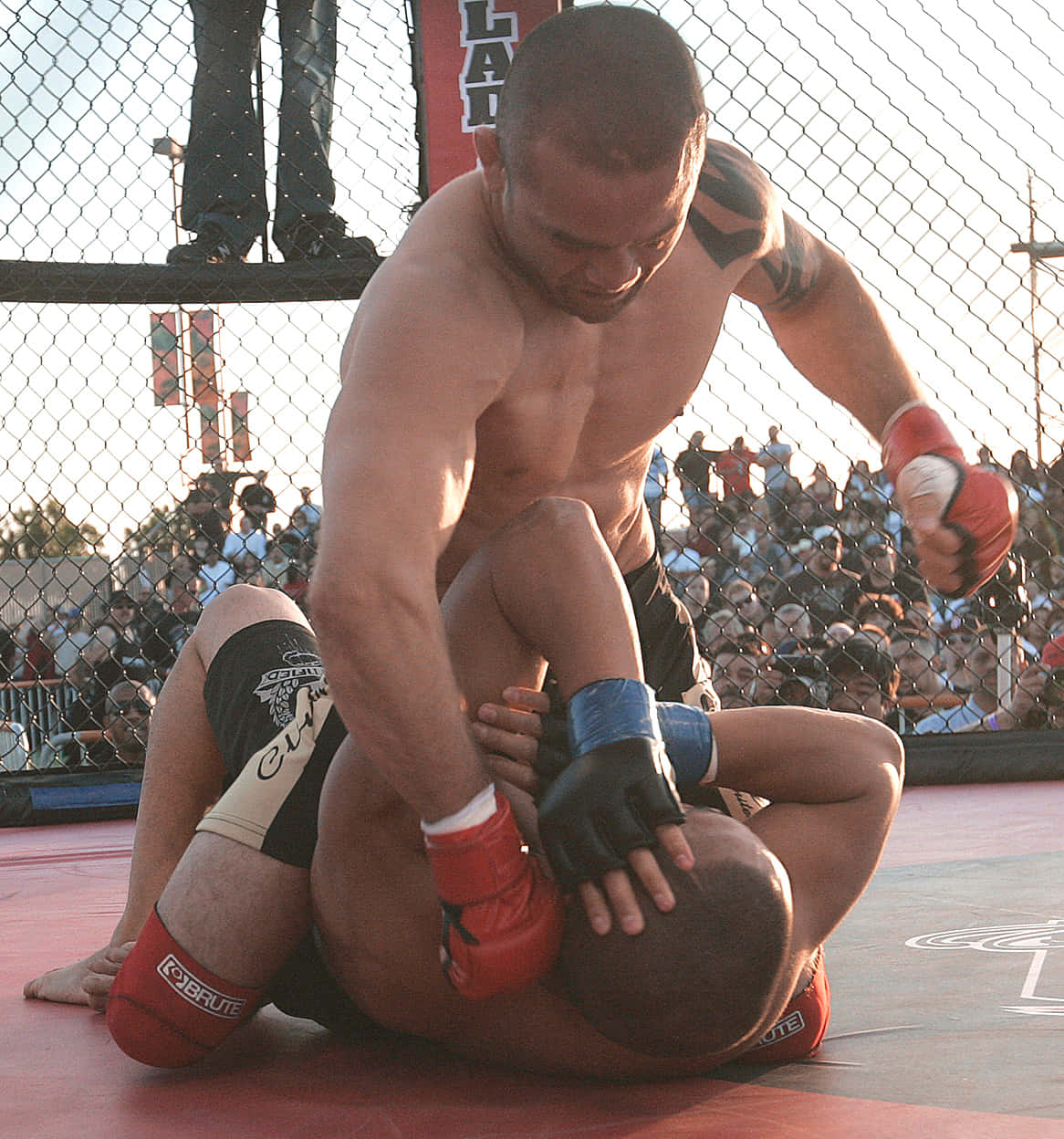 Fight 桌布 壁紙 — 兩名拳手在紅色MMA地墊上激烈纏鬥，八角籠內有觀眾觀看。