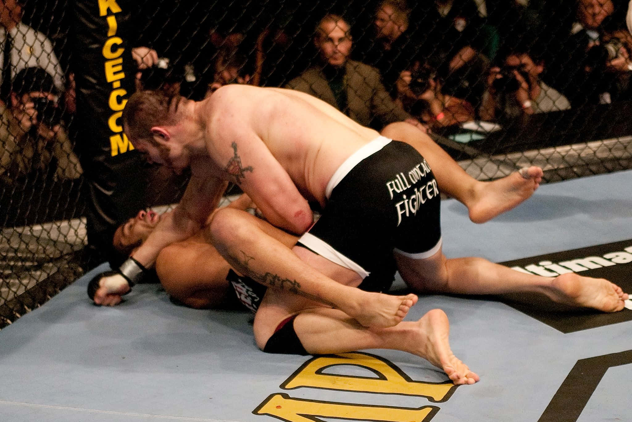 MMA 桌布 壁紙 — 兩名拳手在藍色MMA地墊上激烈纏鬥，八角籠內觀眾近距離觀看。