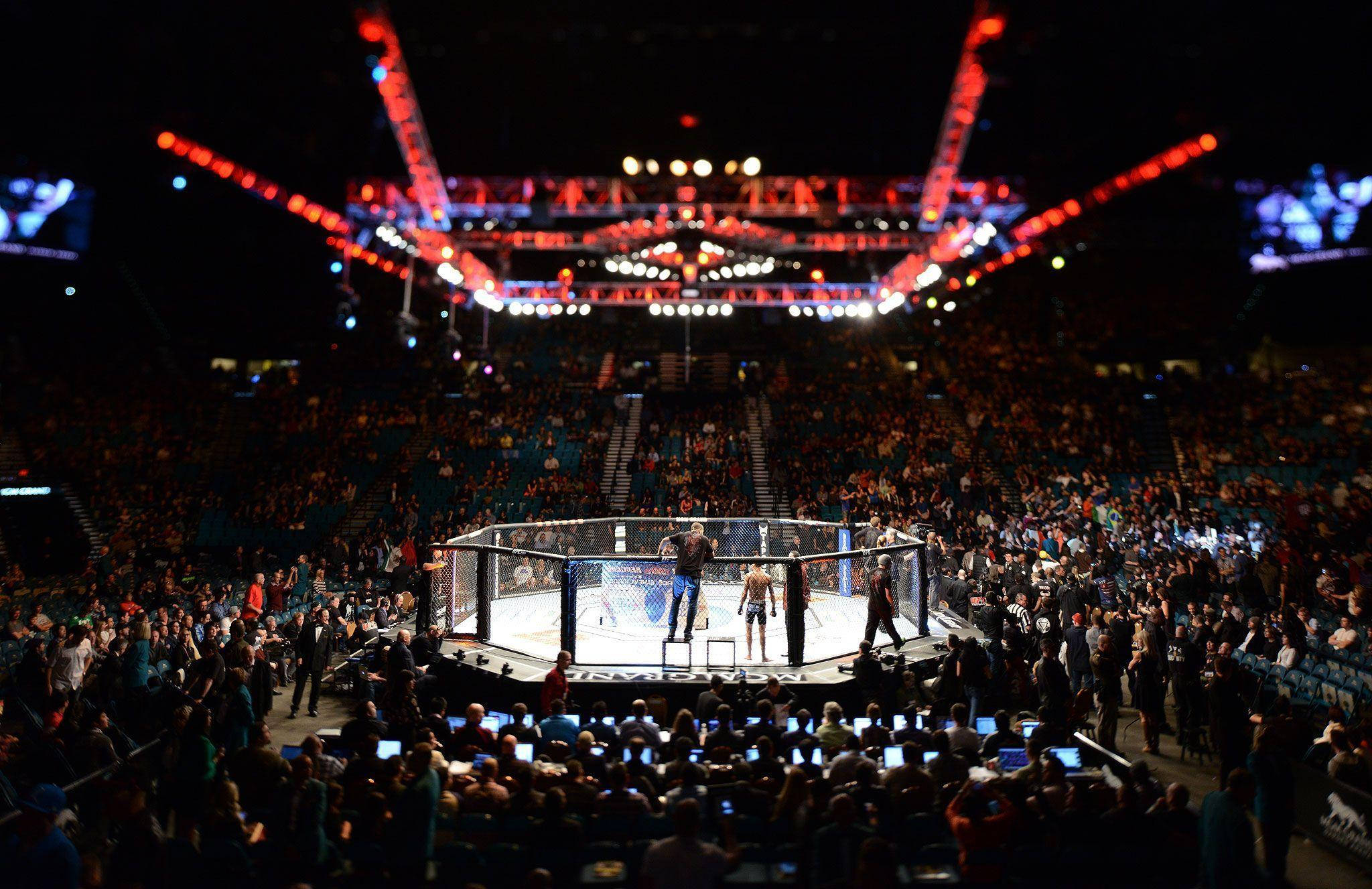 Fight 桌布 壁紙 — 兩名拳手站在燈火通明的八角籠中，周圍是喧囂的人群，籠罩在鮮紅的競技場燈光下。