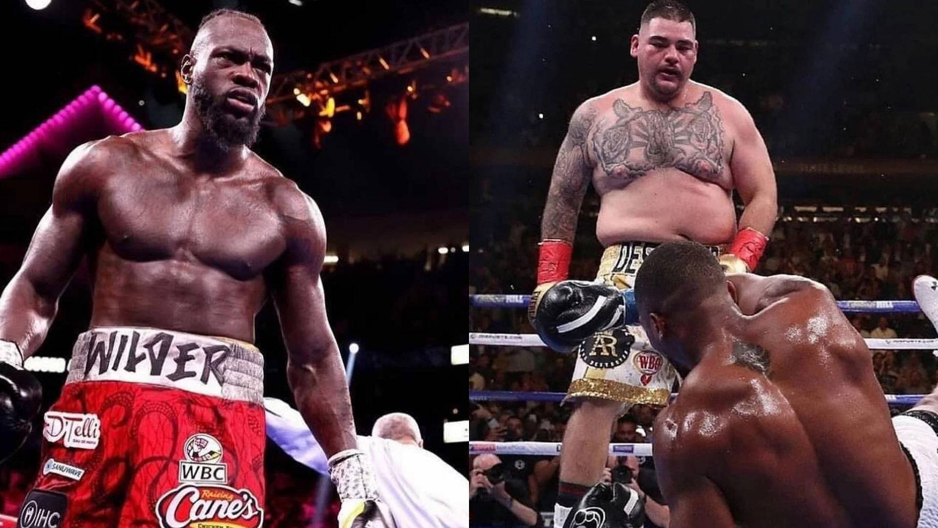 Andy 桌布 壁紙 — 兩名拳擊手在擂台上，一人身穿'WILDER'短褲站立，另一人跪在明亮的場館燈光下。