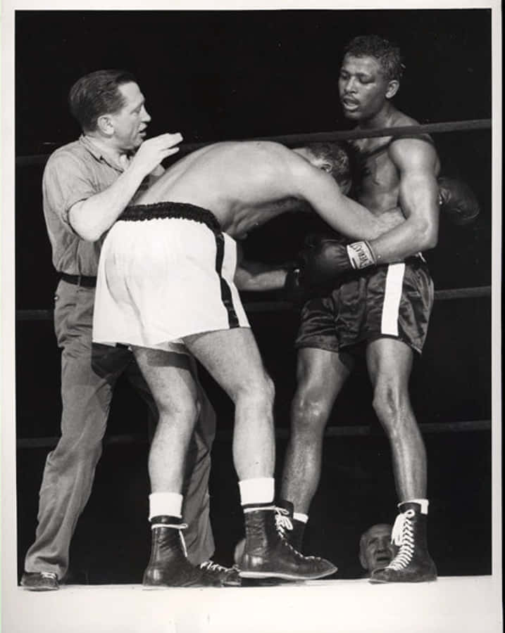 Boxing 桌布 壁紙 — 兩名拳擊手在擂台上激烈纏鬥，裁判在戲劇性的戰鬥時刻介入。
