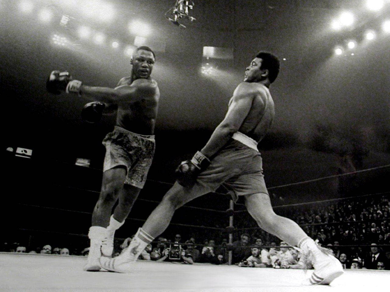 Boxing 桌布 壁紙 — 兩名拳擊手在明亮的競技場燈光下，在戲劇性的黑白擂台上交鋒，觀眾歡呼聲震天。