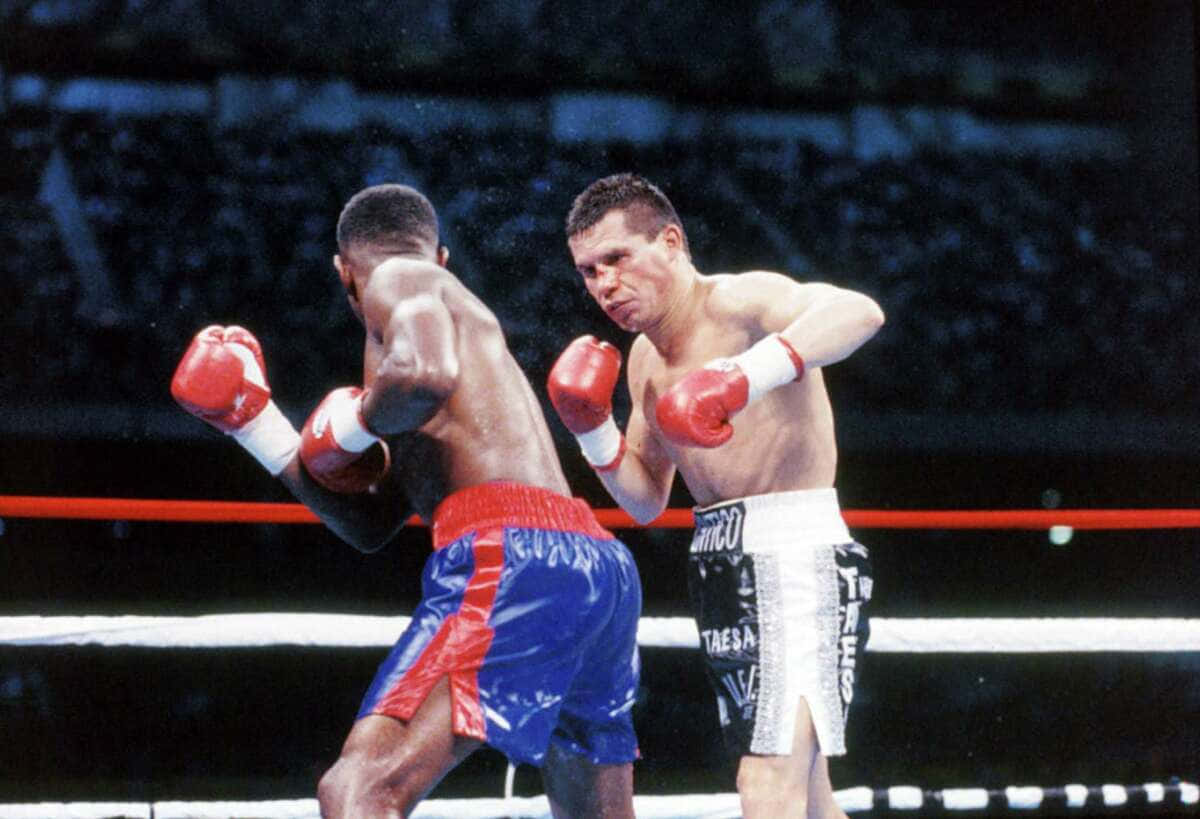 Boxing 桌布 壁紙 — 兩名拳擊手在濕滑的擂台上，於明亮的場館燈光下對決，背景是模糊的觀眾。