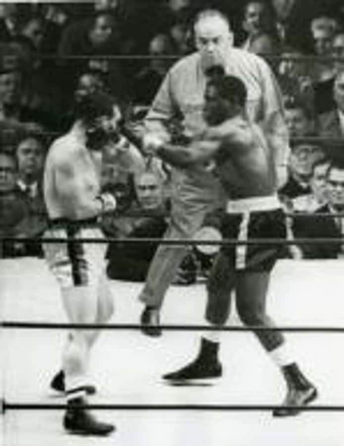 boxer 桌布 壁紙 — 兩名拳擊手在黑白拳擊場上激烈碰撞，裁判在緊張比賽中介入。