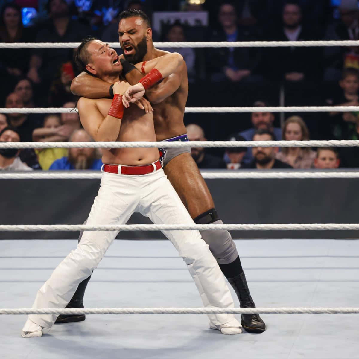 WWE 桌布 壁紙 — 兩名摔角手在帶有繩索的擂台上激烈纏鬥，觀眾專注地觀看。