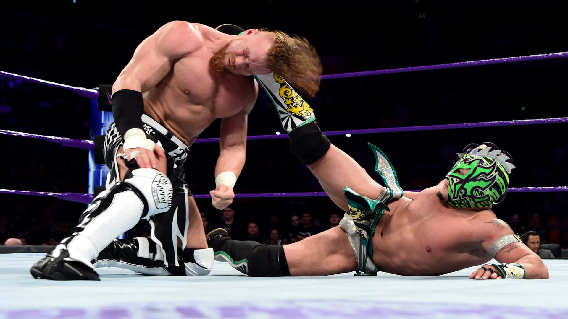 WWE 桌布 壁紙 — 兩名摔角手在擂臺上激烈纏鬥，一人身穿黑白裝備，另一人戴著綠色面具和靴子。