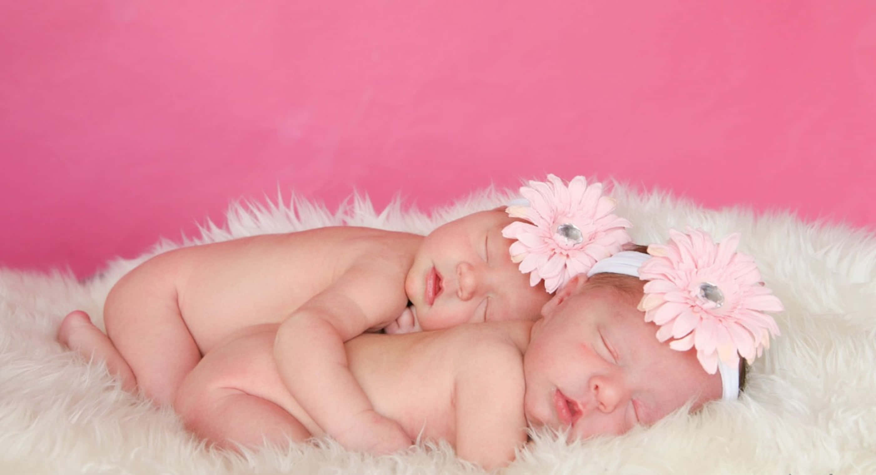 Cute Babies 桌布 壁紙 — 兩名新生嬰兒在鮮豔的粉紅色背景下，並排安詳地睡在 fluffy 白色地毯上。