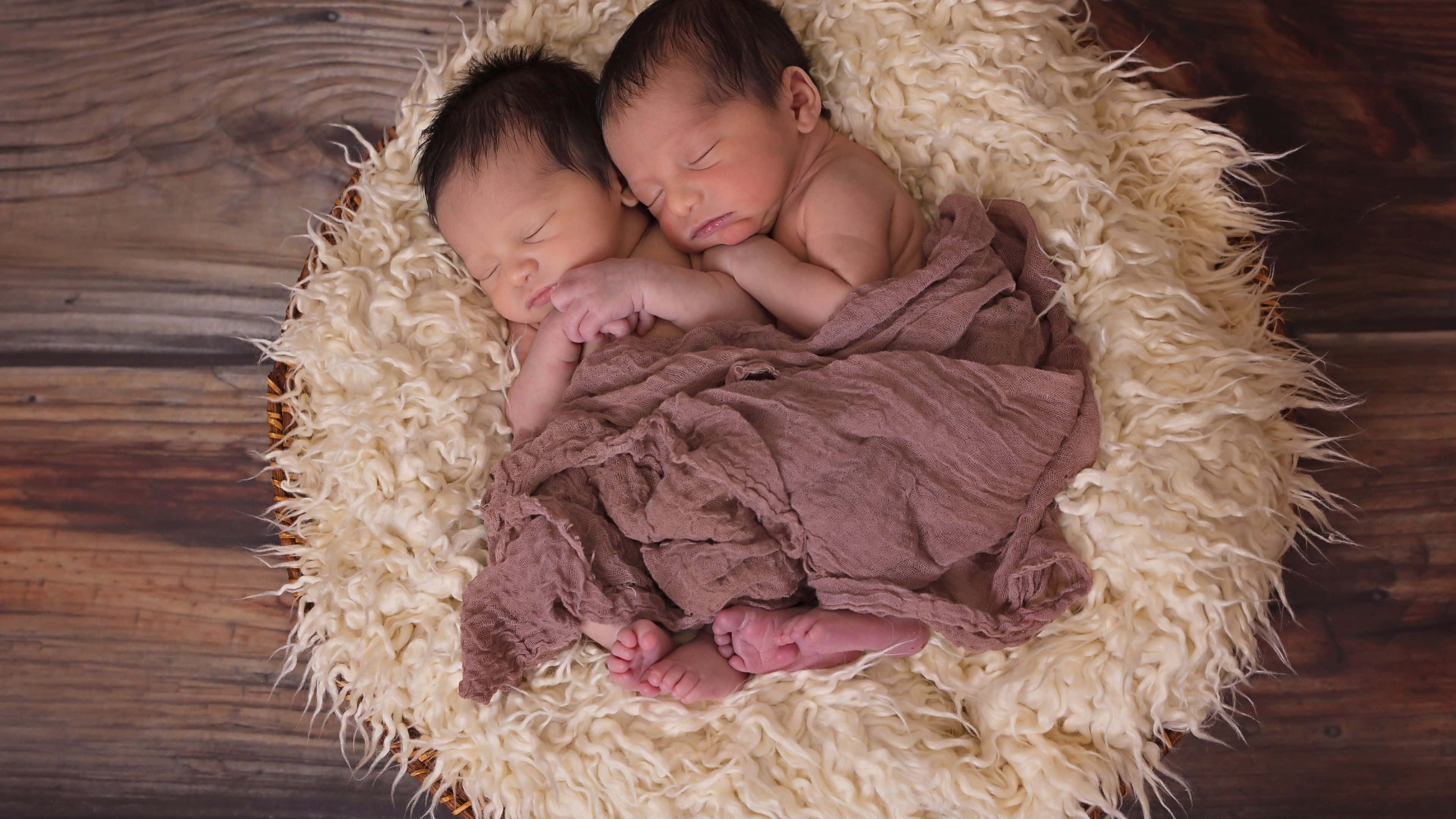 twins 桌布 壁紙 — 兩名新生雙胞胎在木地板上一個鋪有柔軟奶油色毛絨的籃子裡，安詳地交織在一起睡覺。