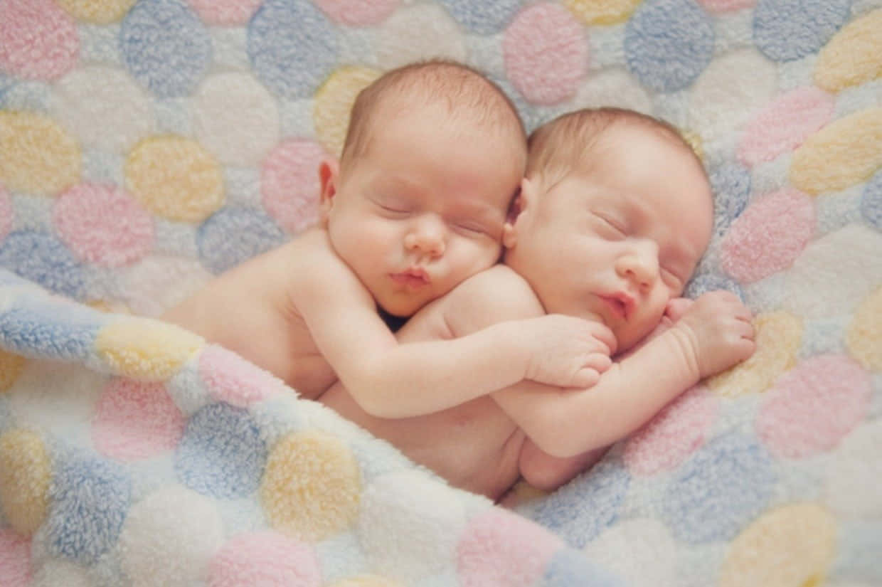 Cute Babies 桌布 壁紙 — 兩名新生雙胞胎在柔軟的粉彩圓點毛毯上平靜地交織而眠。